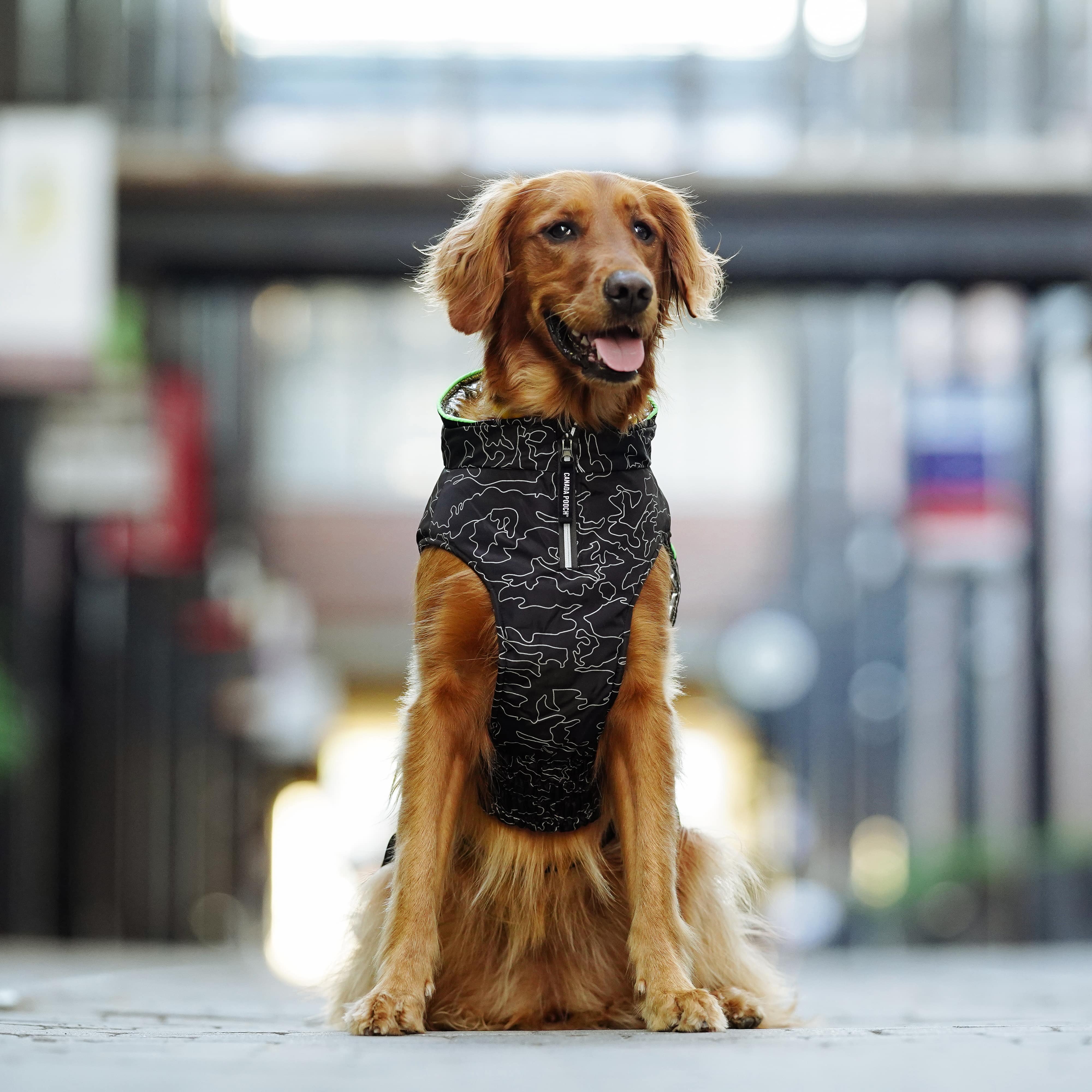 Expedition Coat 2.0 - Image 4