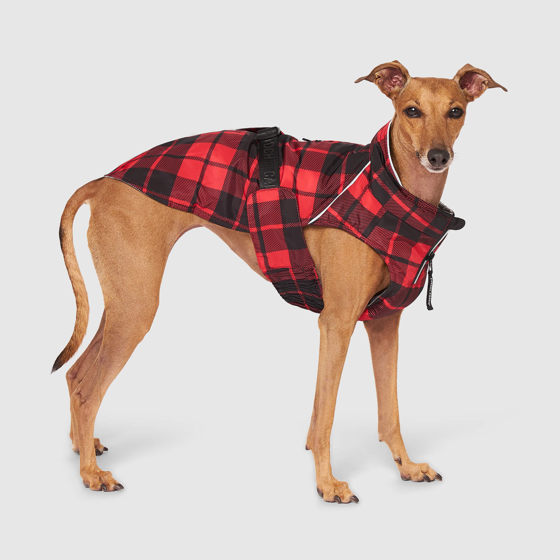 Expedition Coat 2.0 - Image 5