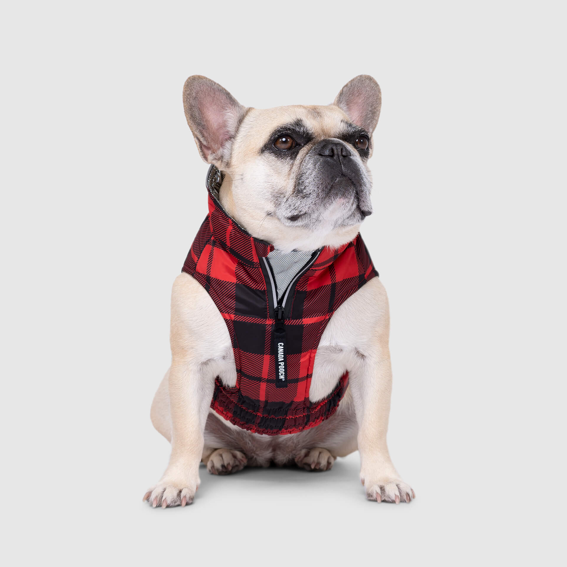 Expedition Coat 2.0 - Image 6