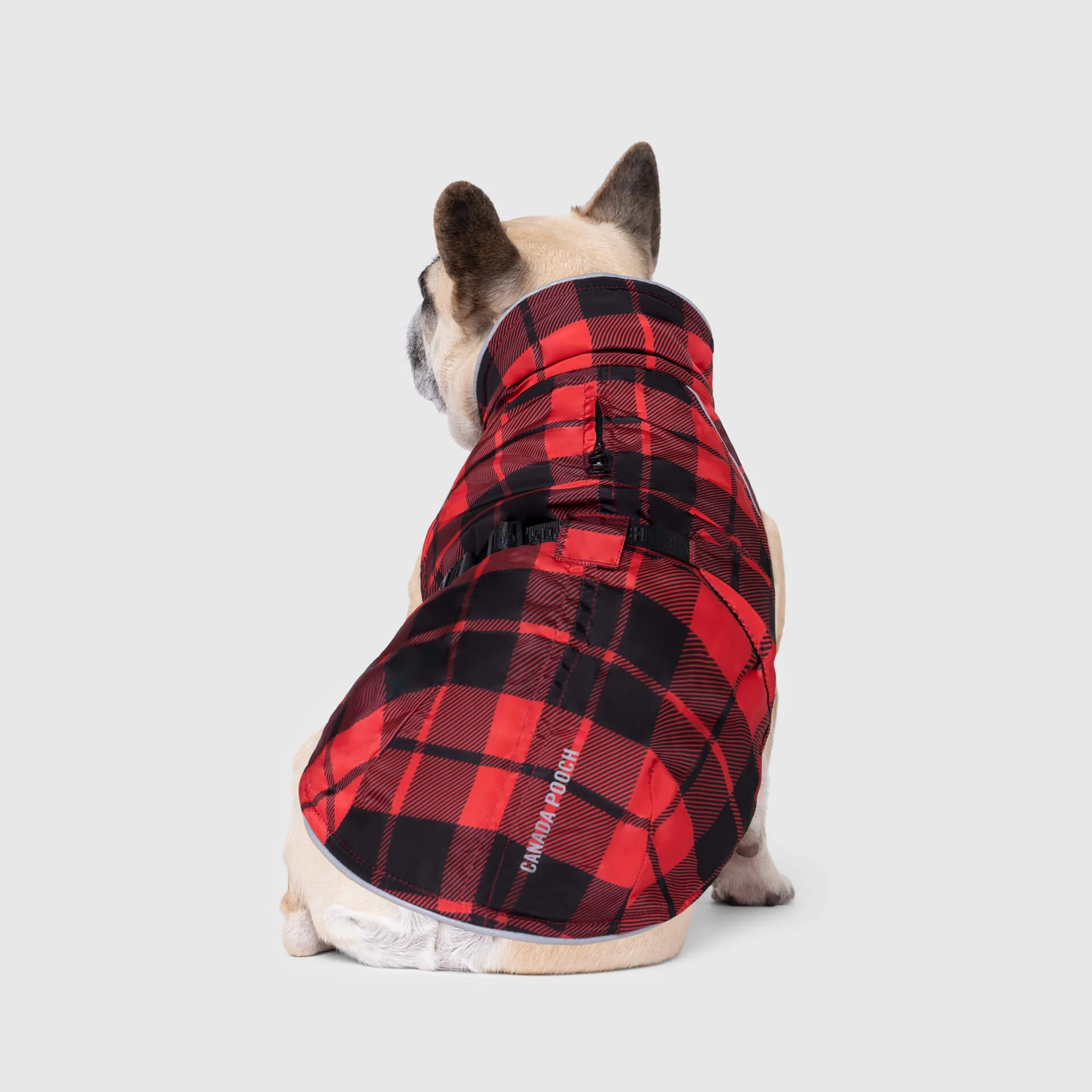 Expedition Coat 2.0 - Image 7