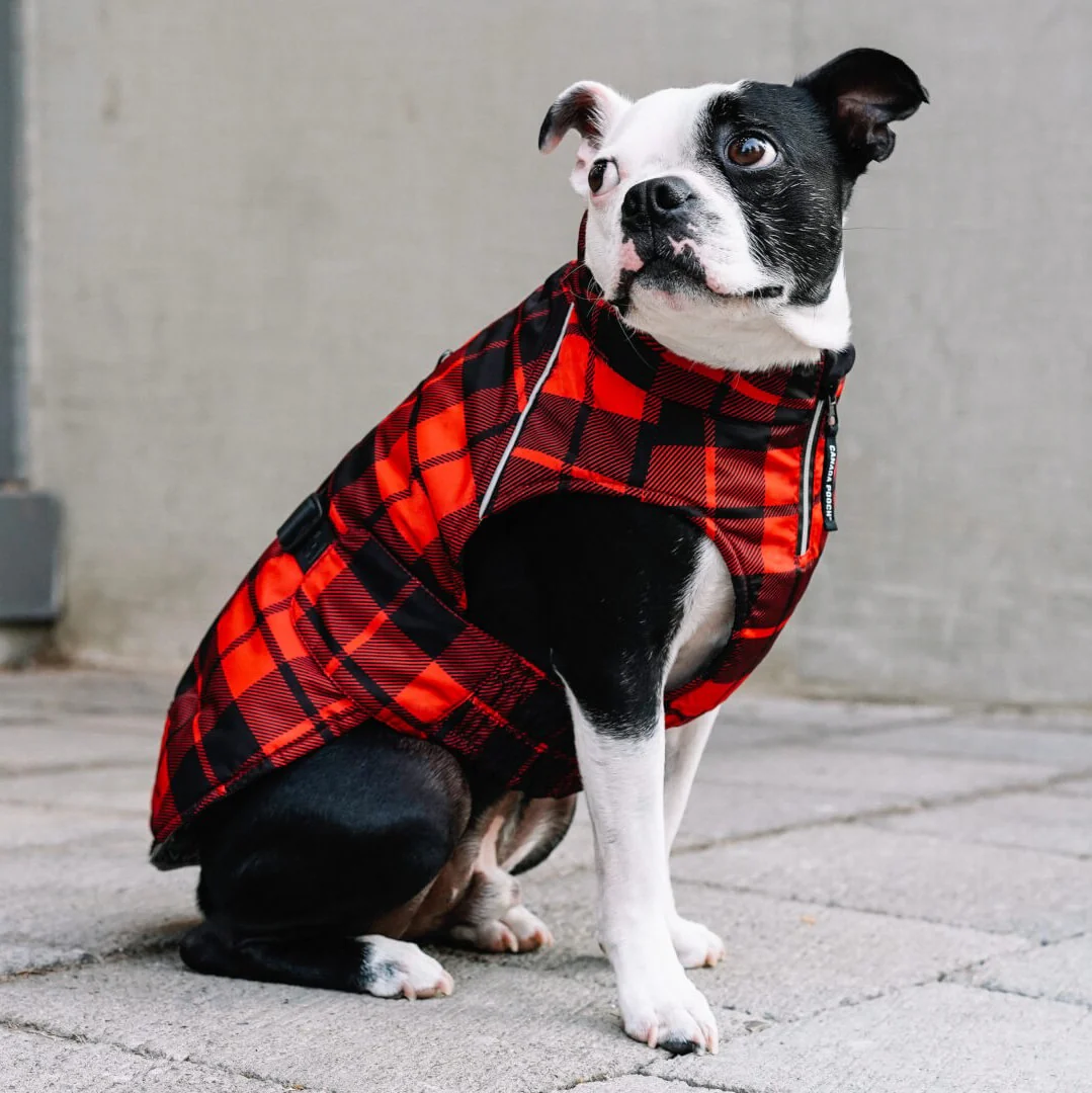 Expedition Coat 2.0 - Image 9
