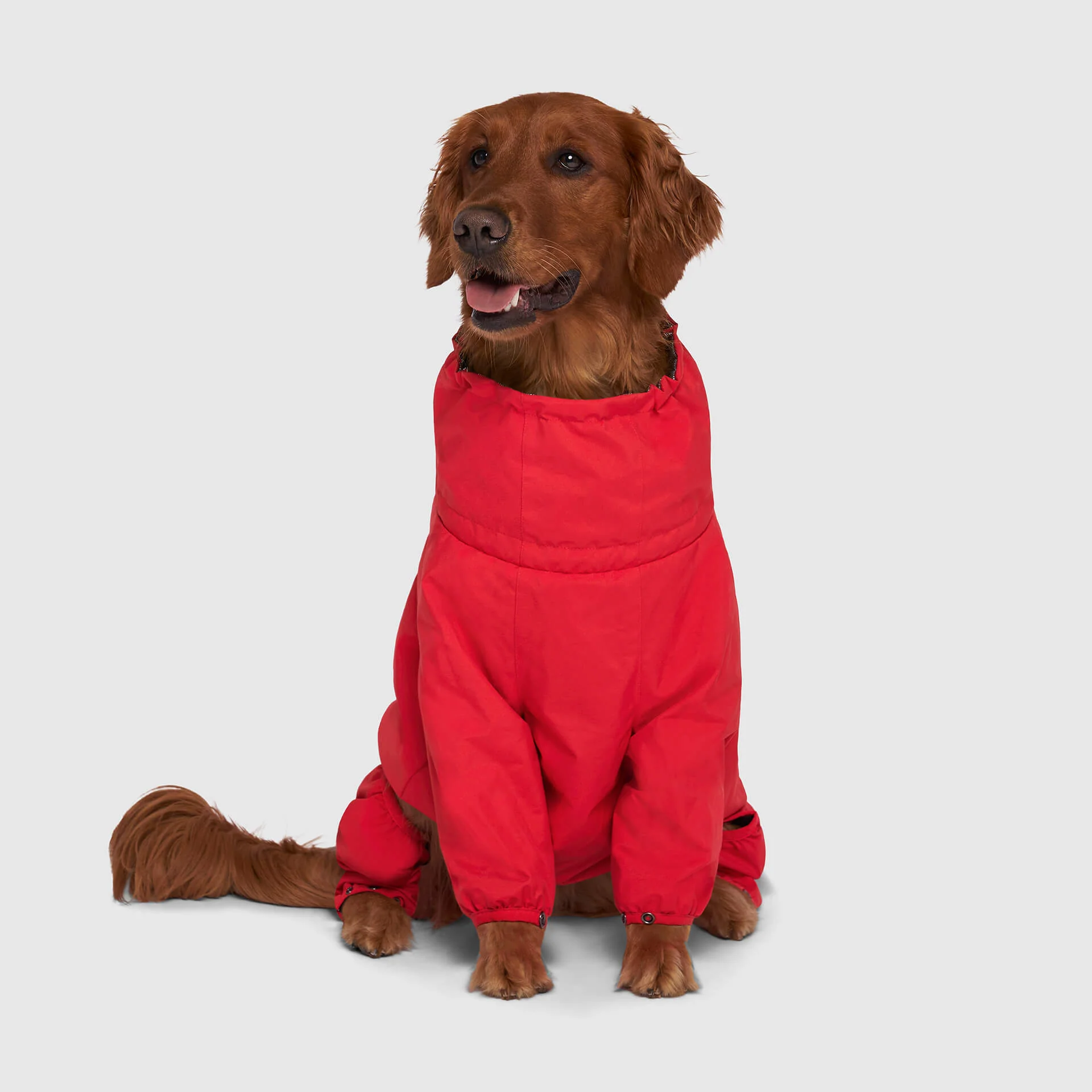 The Snow Suit - Image 12