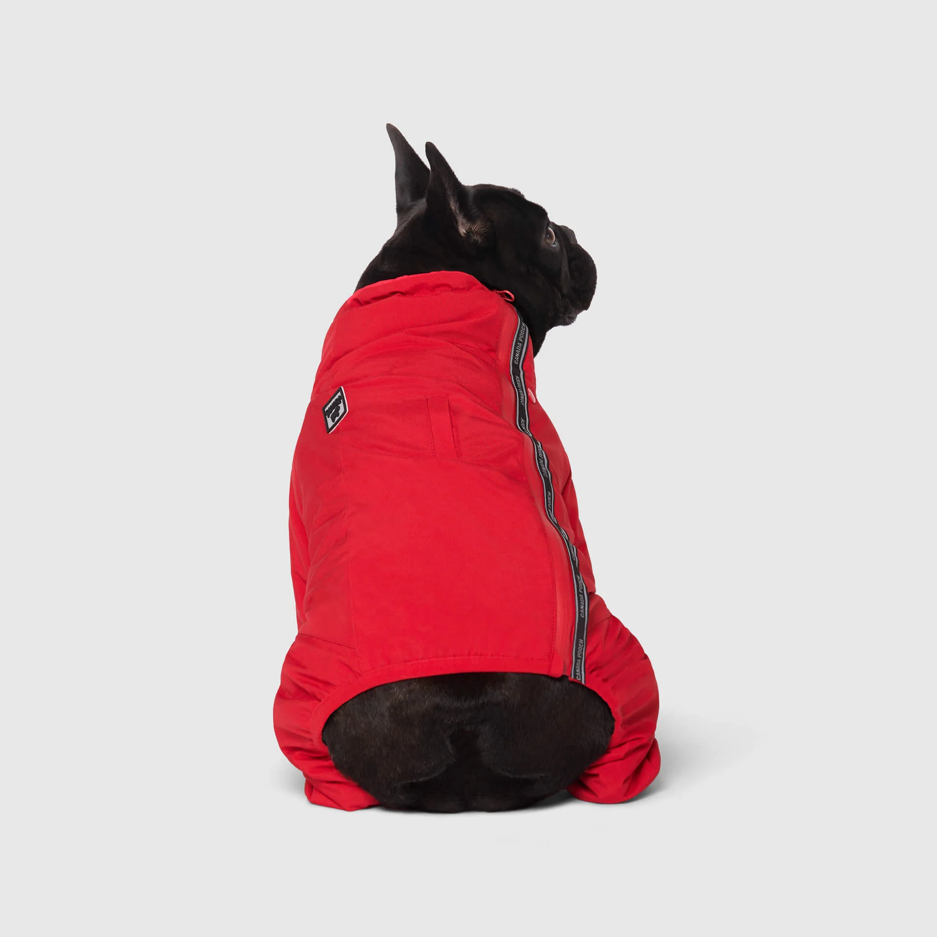 The Snow Suit - Image 15