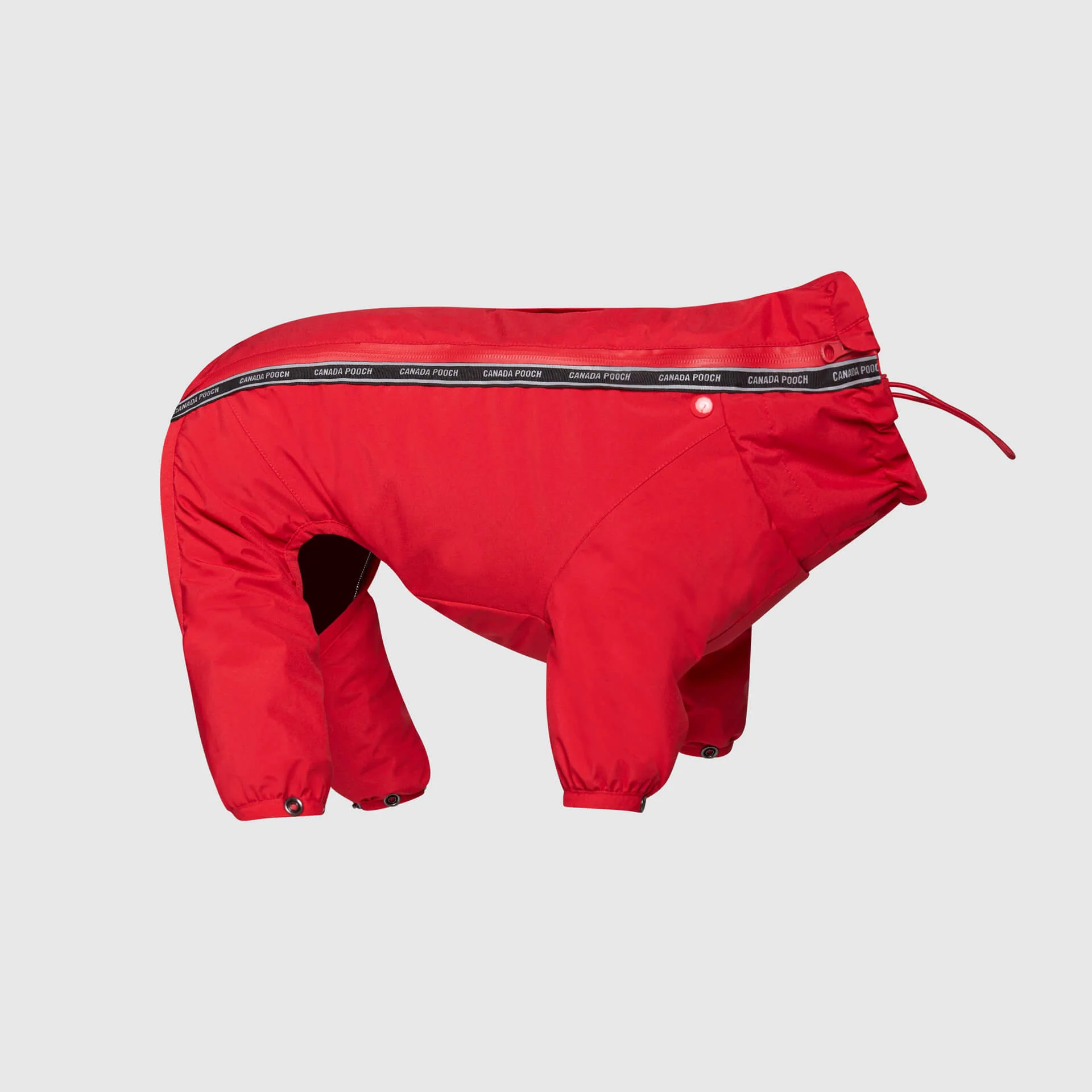 The Snow Suit - Image 16