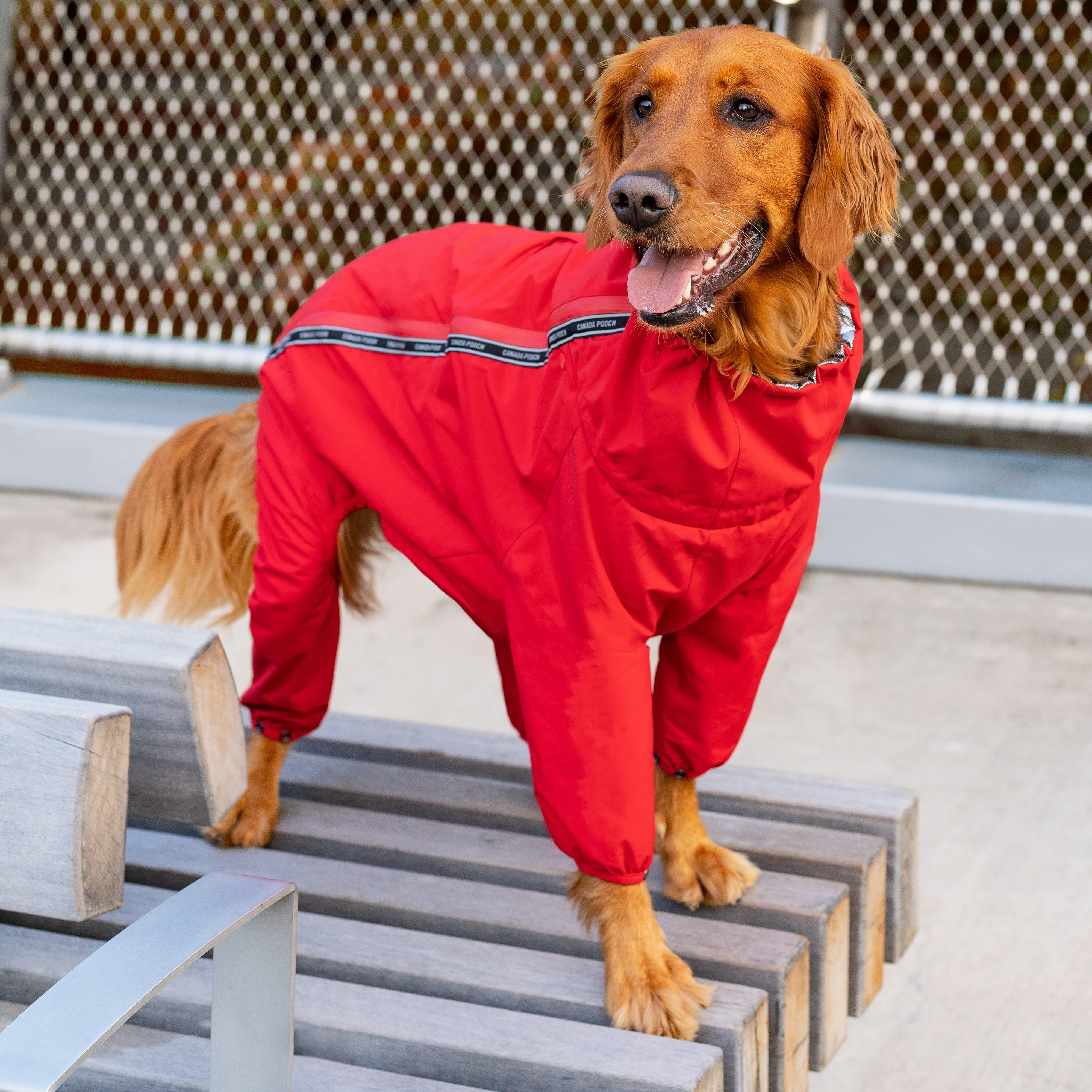 The Snow Suit - Image 17