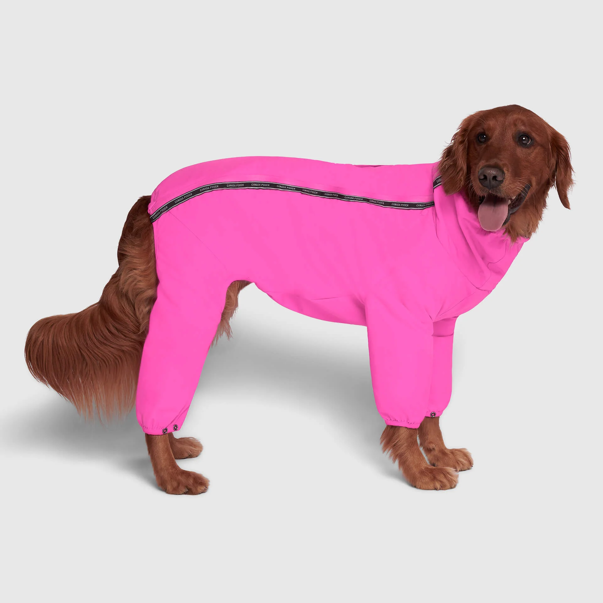 The Snow Suit - Image 18