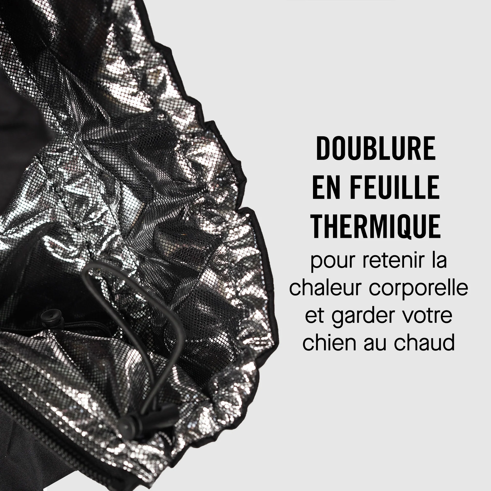 The Snow Suit - Image 20