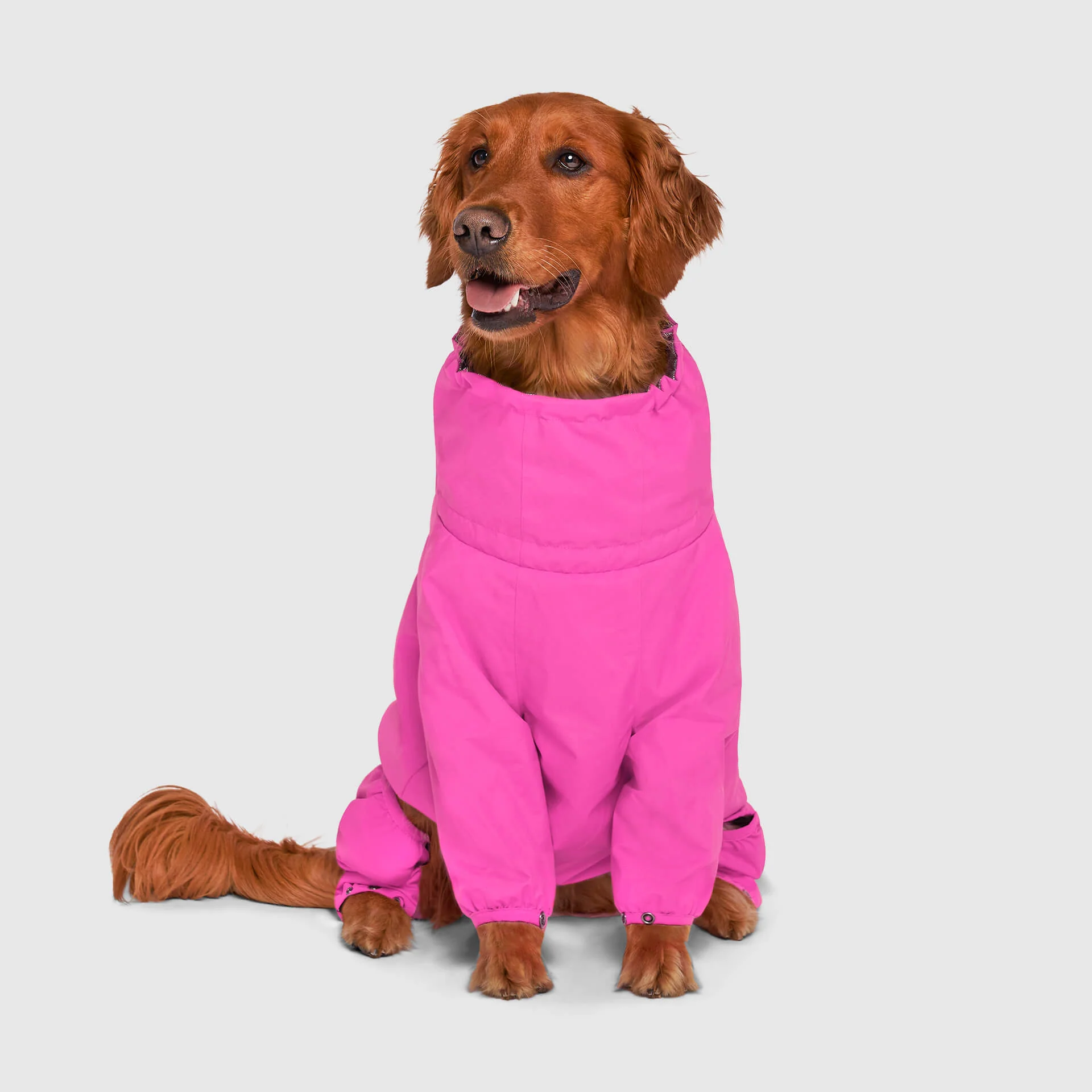 The Snow Suit - Image 21