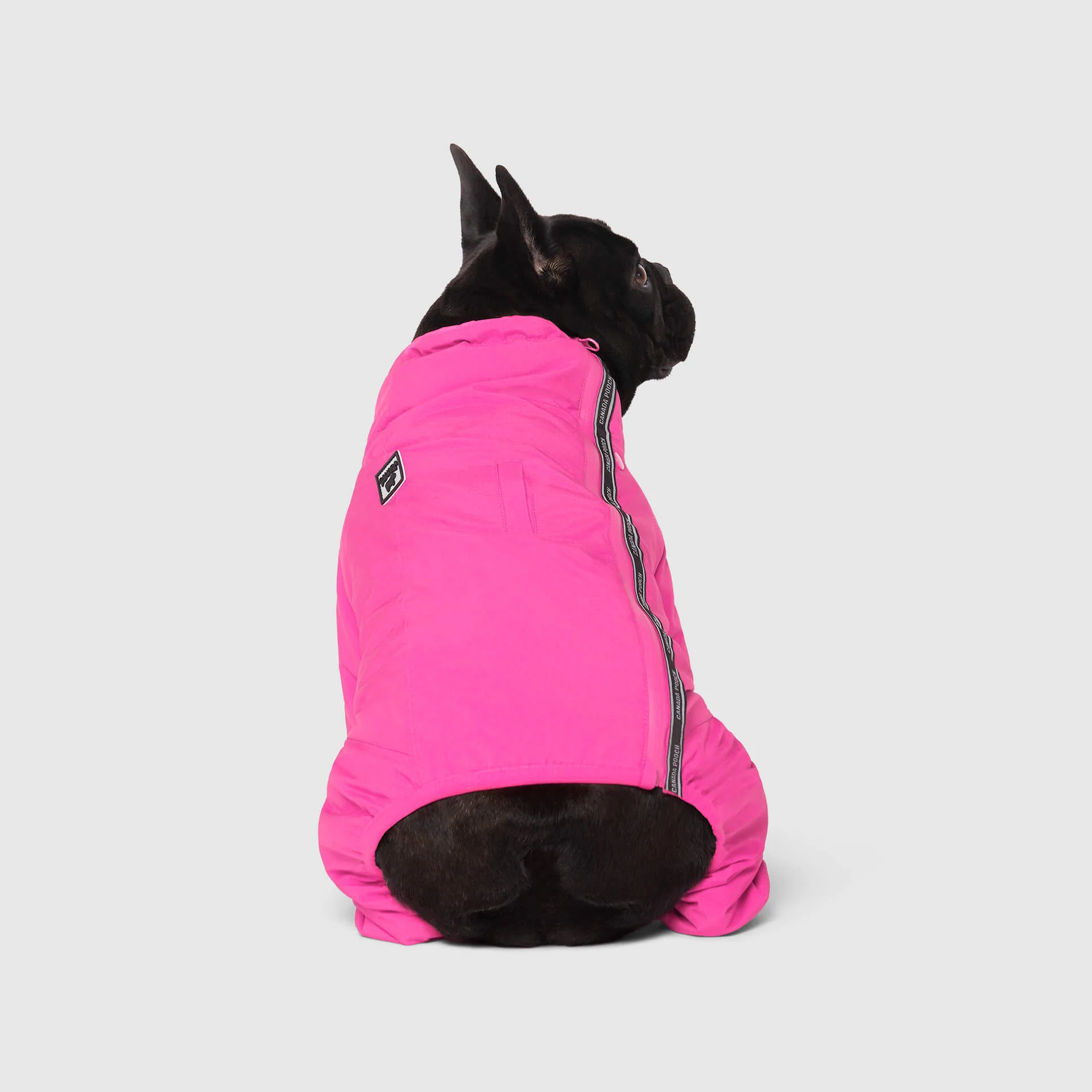 The Snow Suit - Image 24