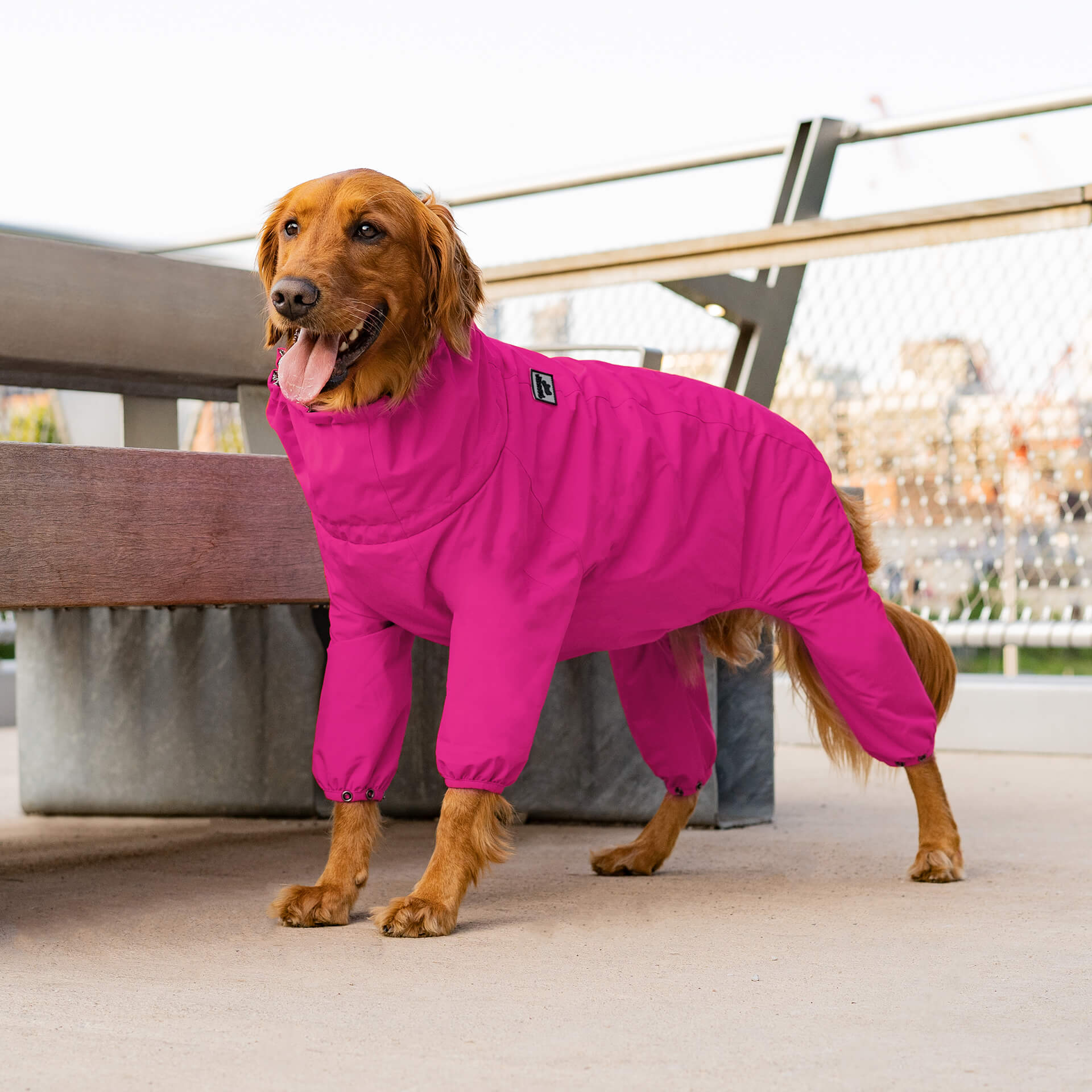 The Snow Suit - Image 26