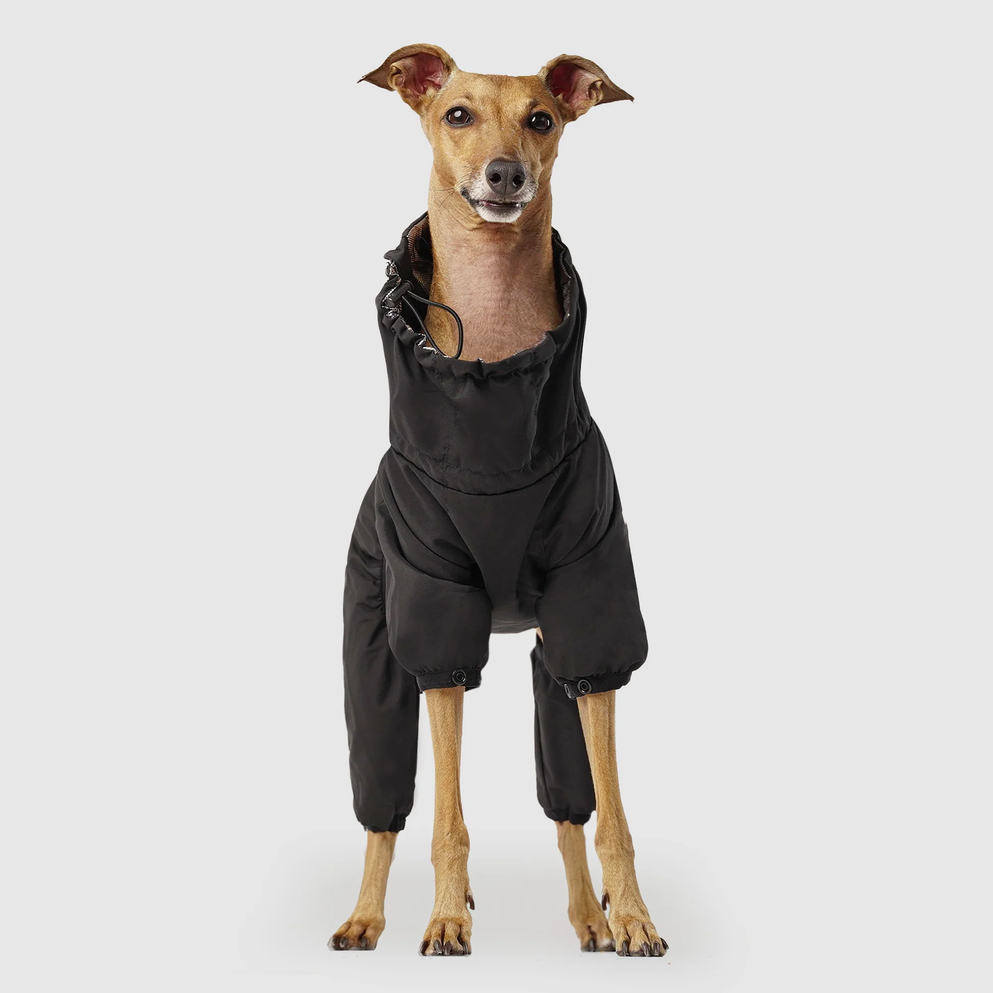 The Snow Suit - Image 4