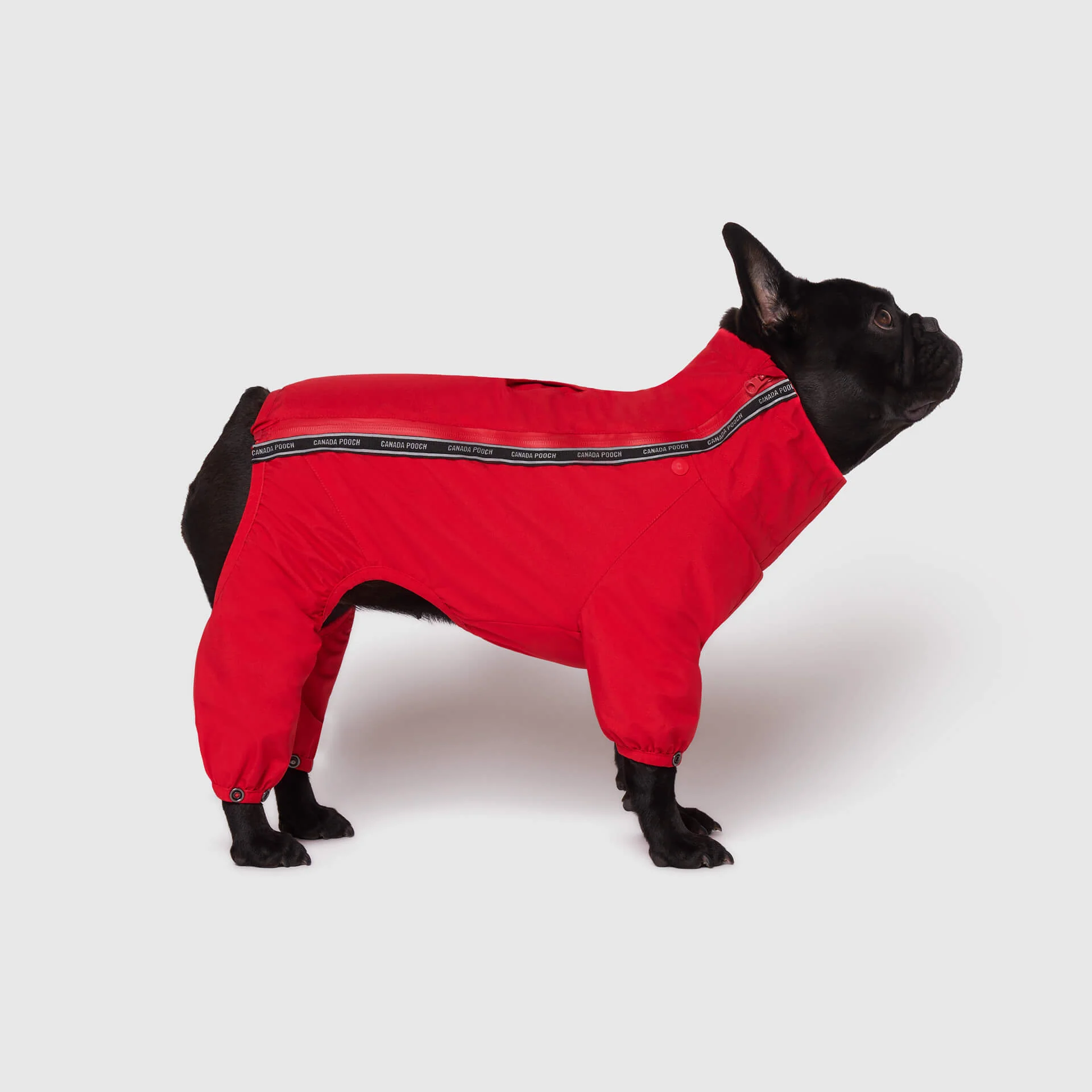 The Snow Suit - Image 9