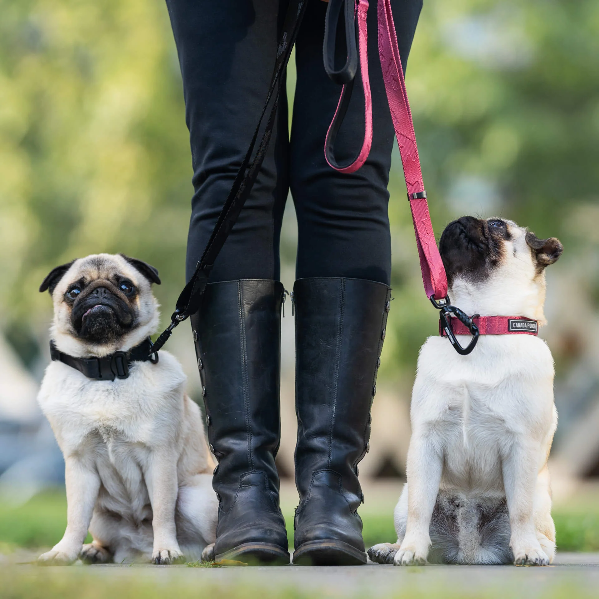 Utility Leash - Image 15