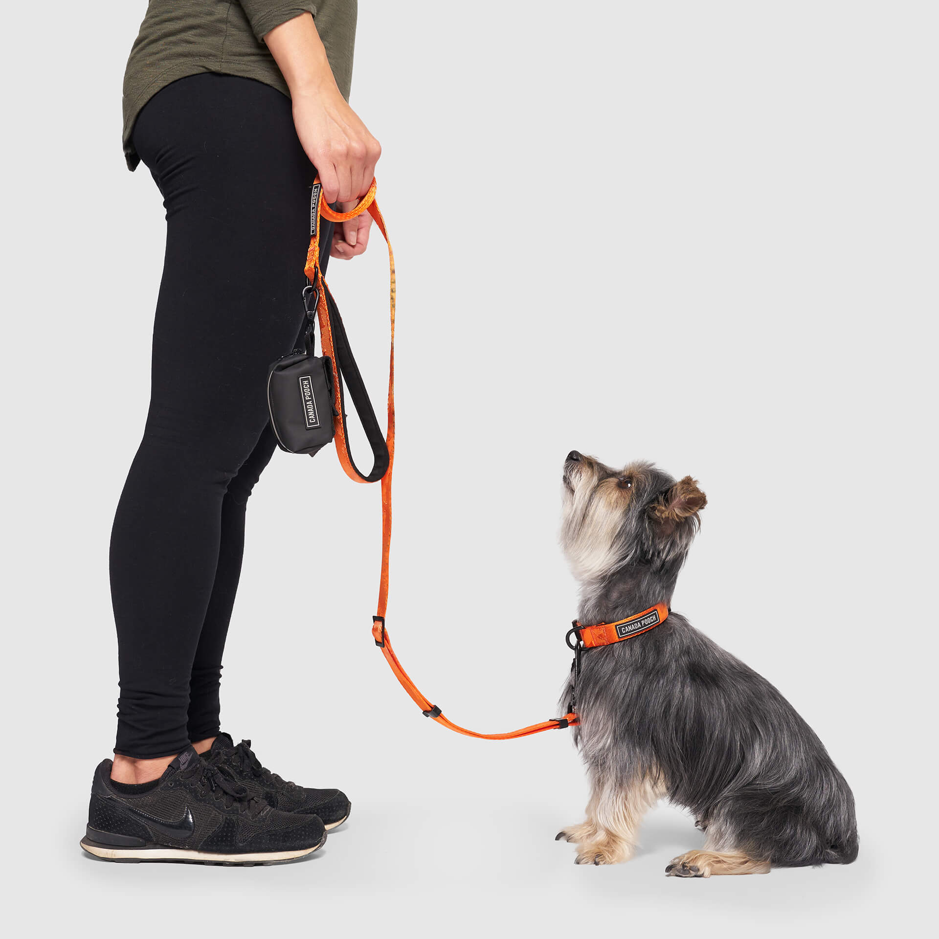 Utility Leash - Image 6
