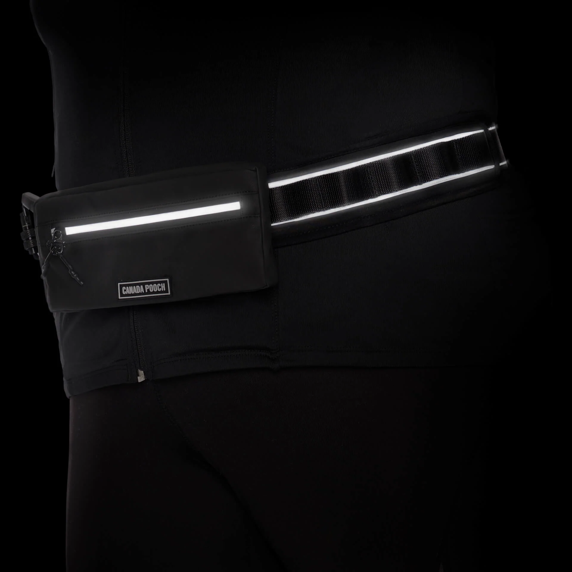 Handsfree Dog Walking Belt - Image 3