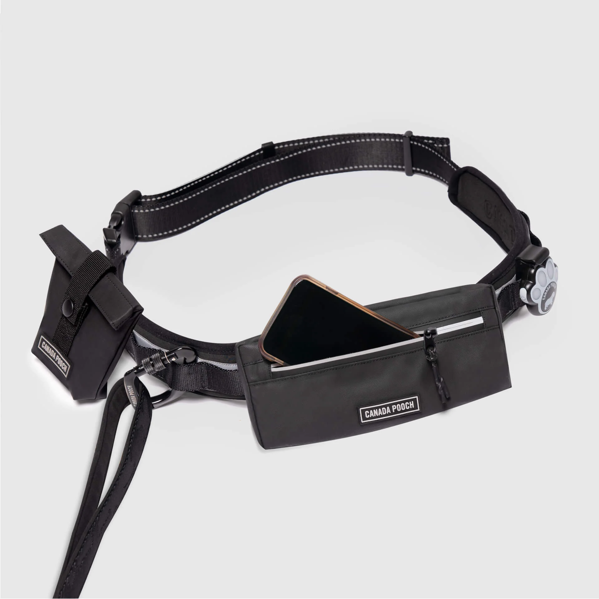 Handsfree Dog Walking Belt - Image 4
