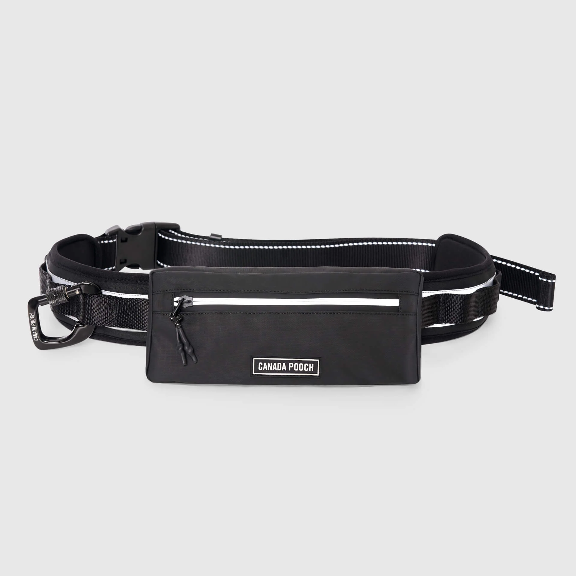 Handsfree Dog Walking Belt - Image 5