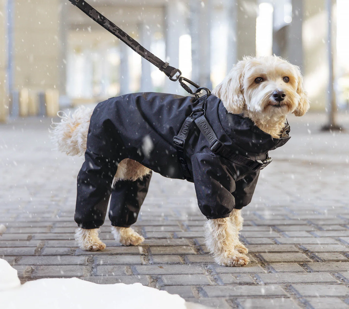 Harness Snow Suit - Image 10