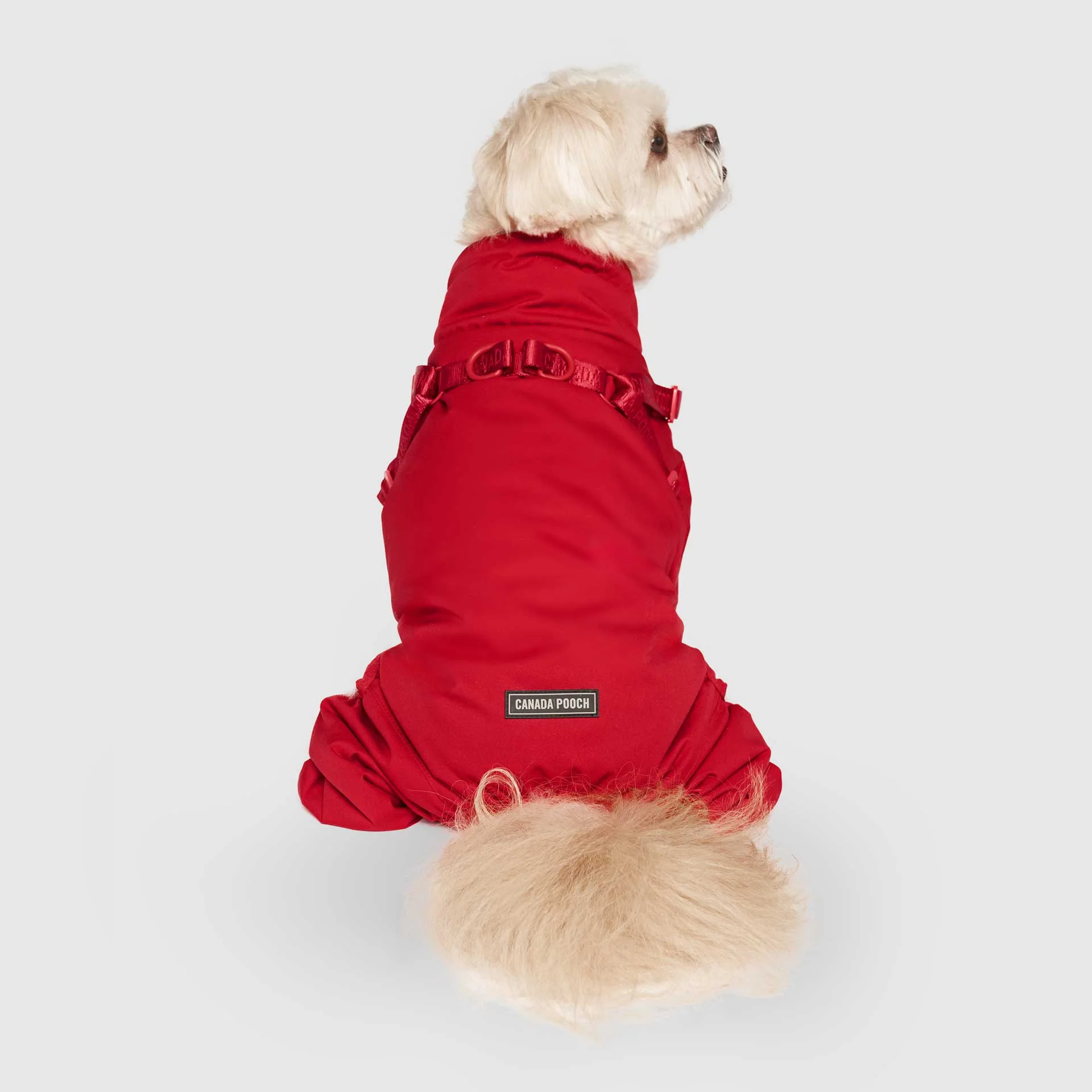 Harness Snow Suit - Image 14