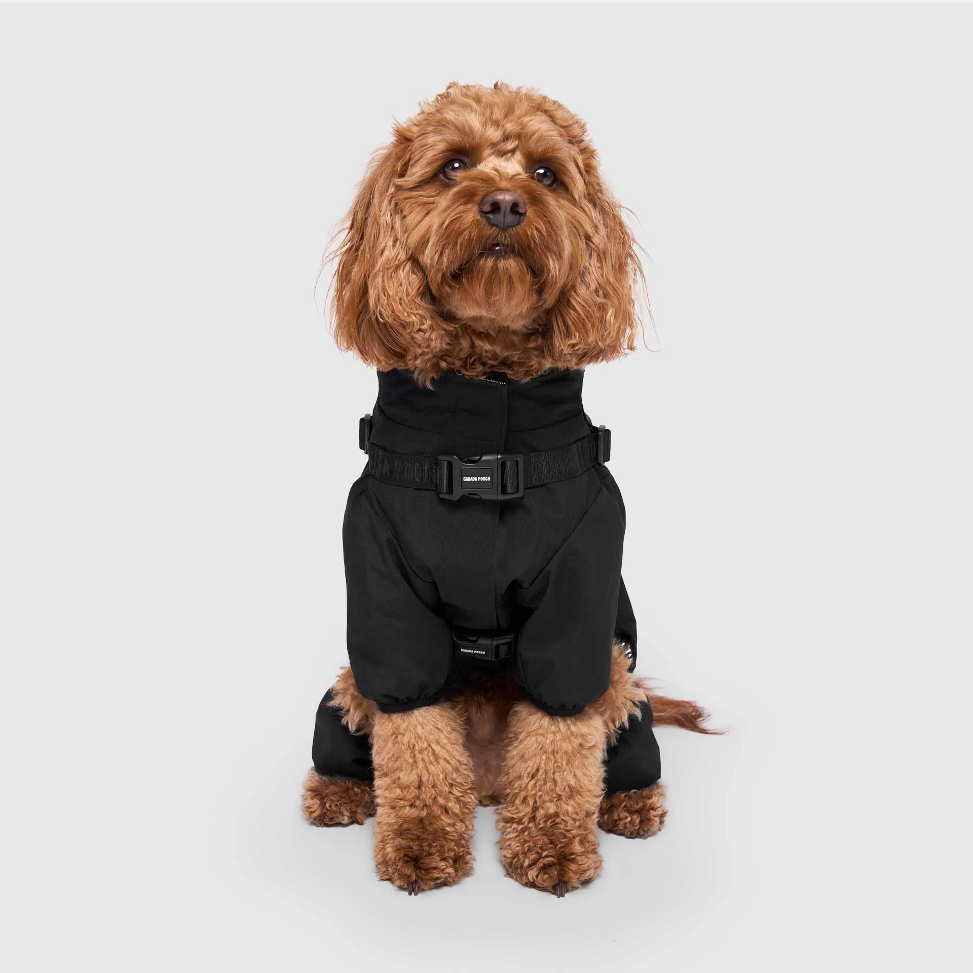 Harness Snow Suit - Image 5