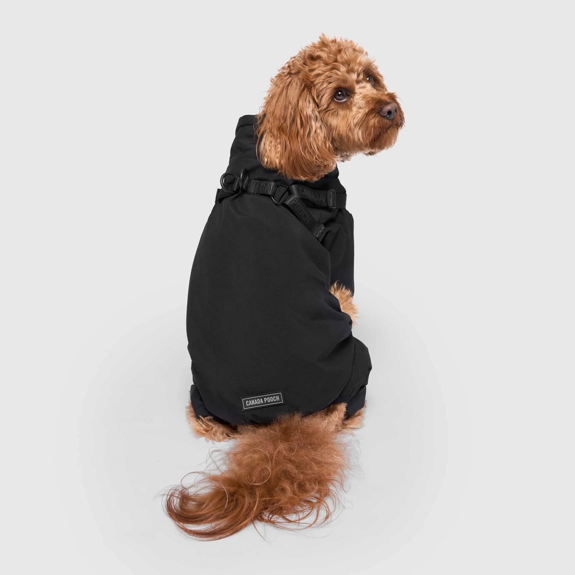 Harness Snow Suit - Image 6