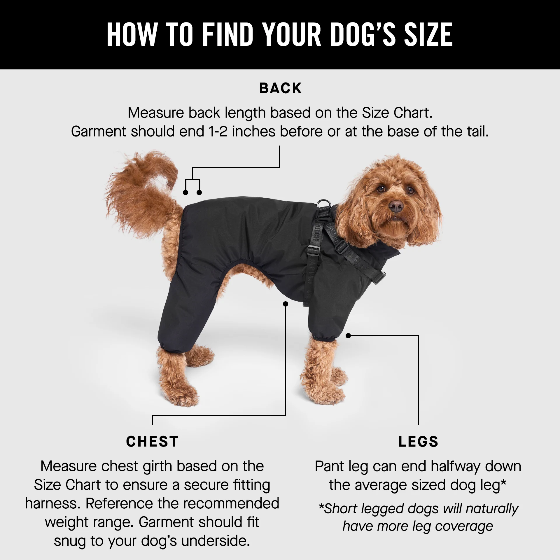 Harness Snow Suit - Image 8