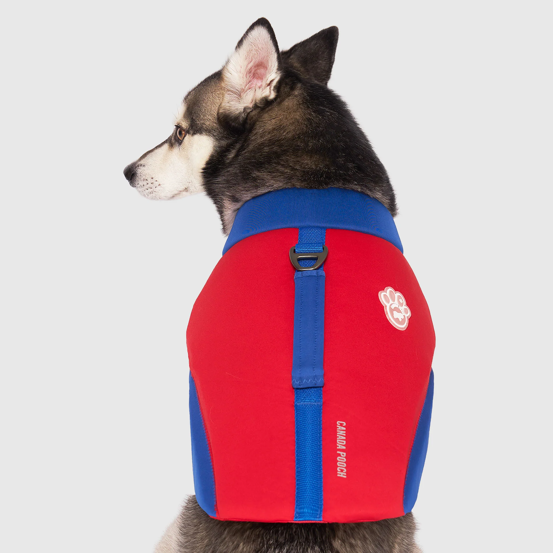 High Tide Life Jacket - Image 3