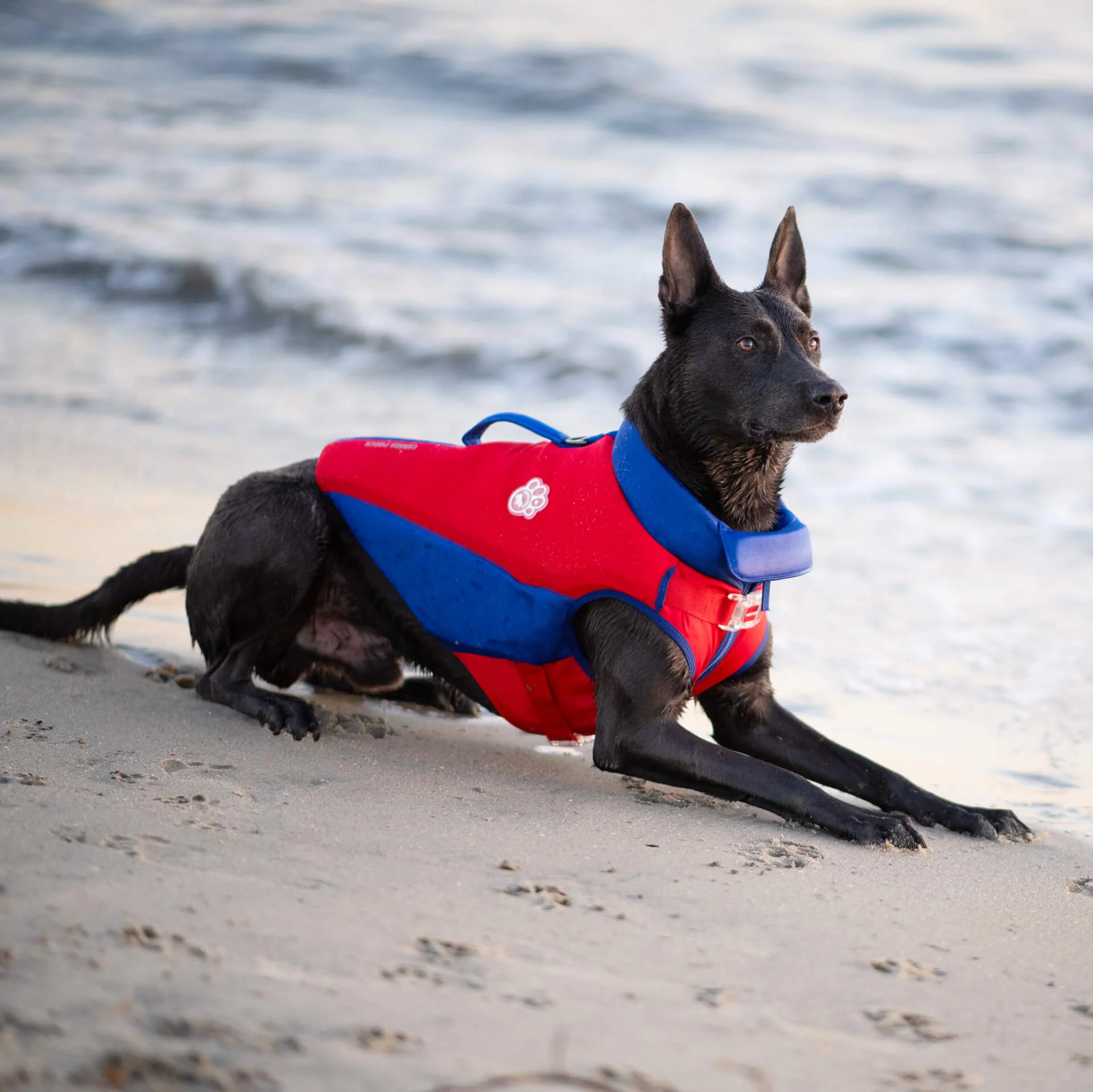 High Tide Life Jacket - Image 5