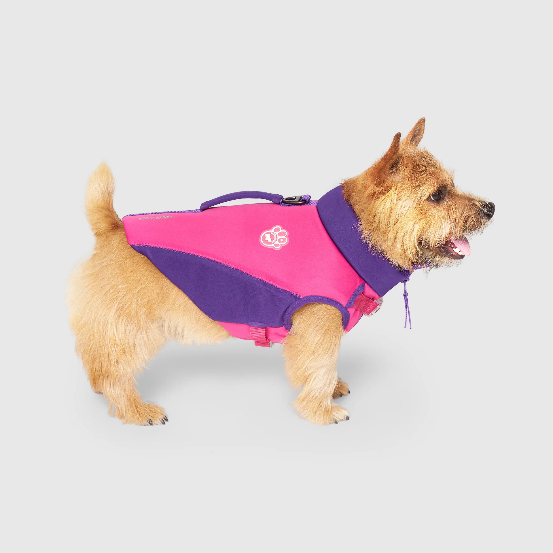 High Tide Life Jacket - Image 6