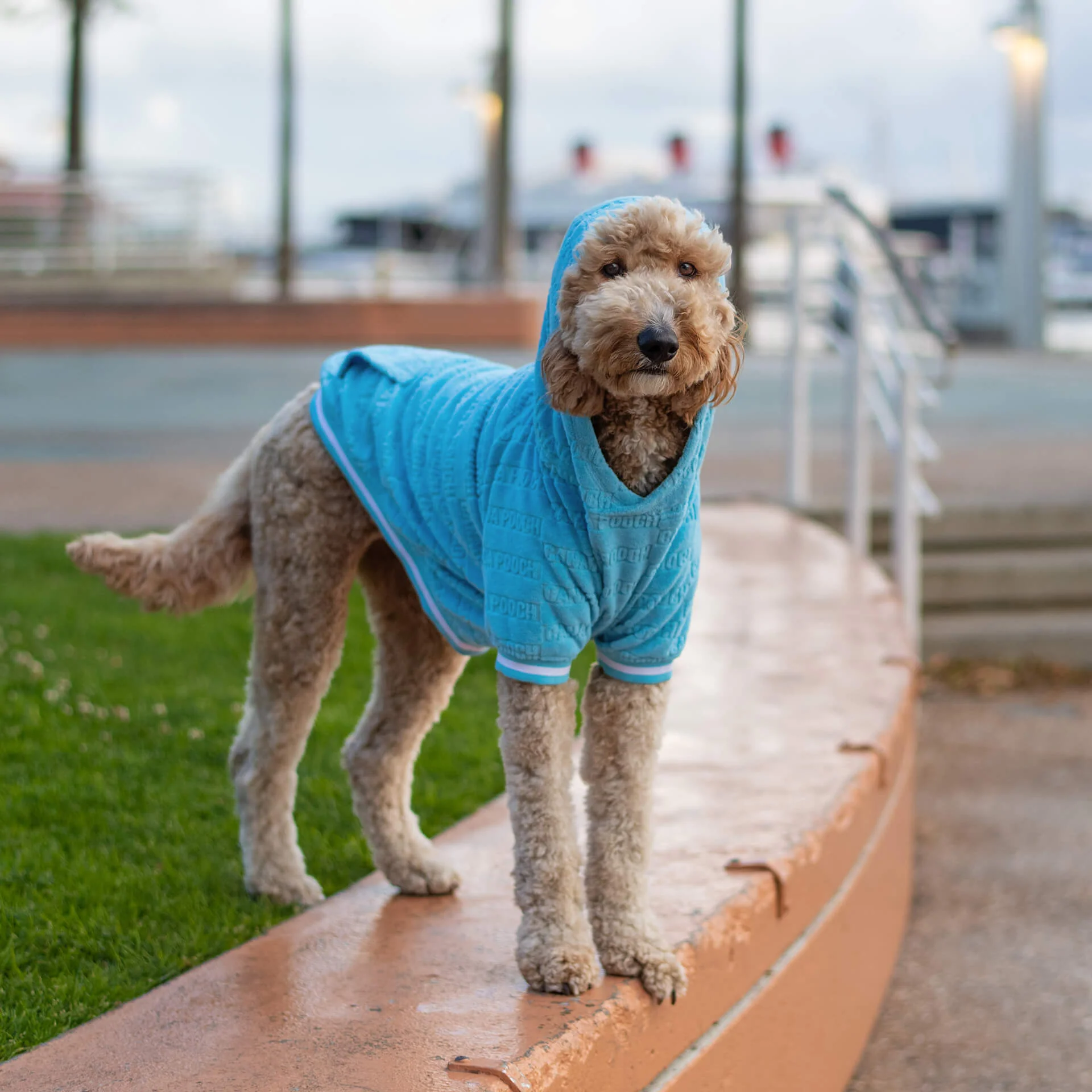 Beach Bum Towel Hoodie - Image 5