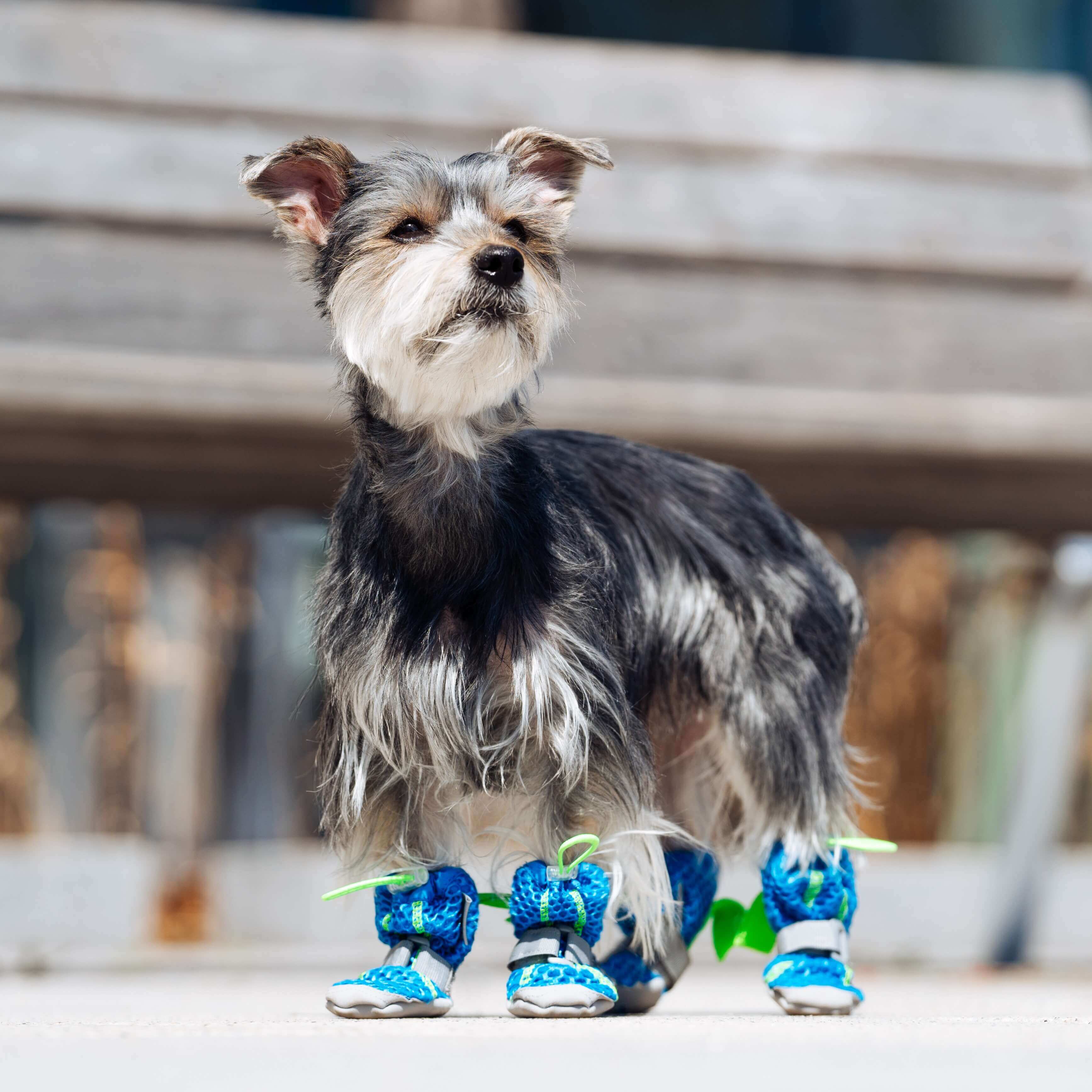 Hot Pavement Boots - Image 4