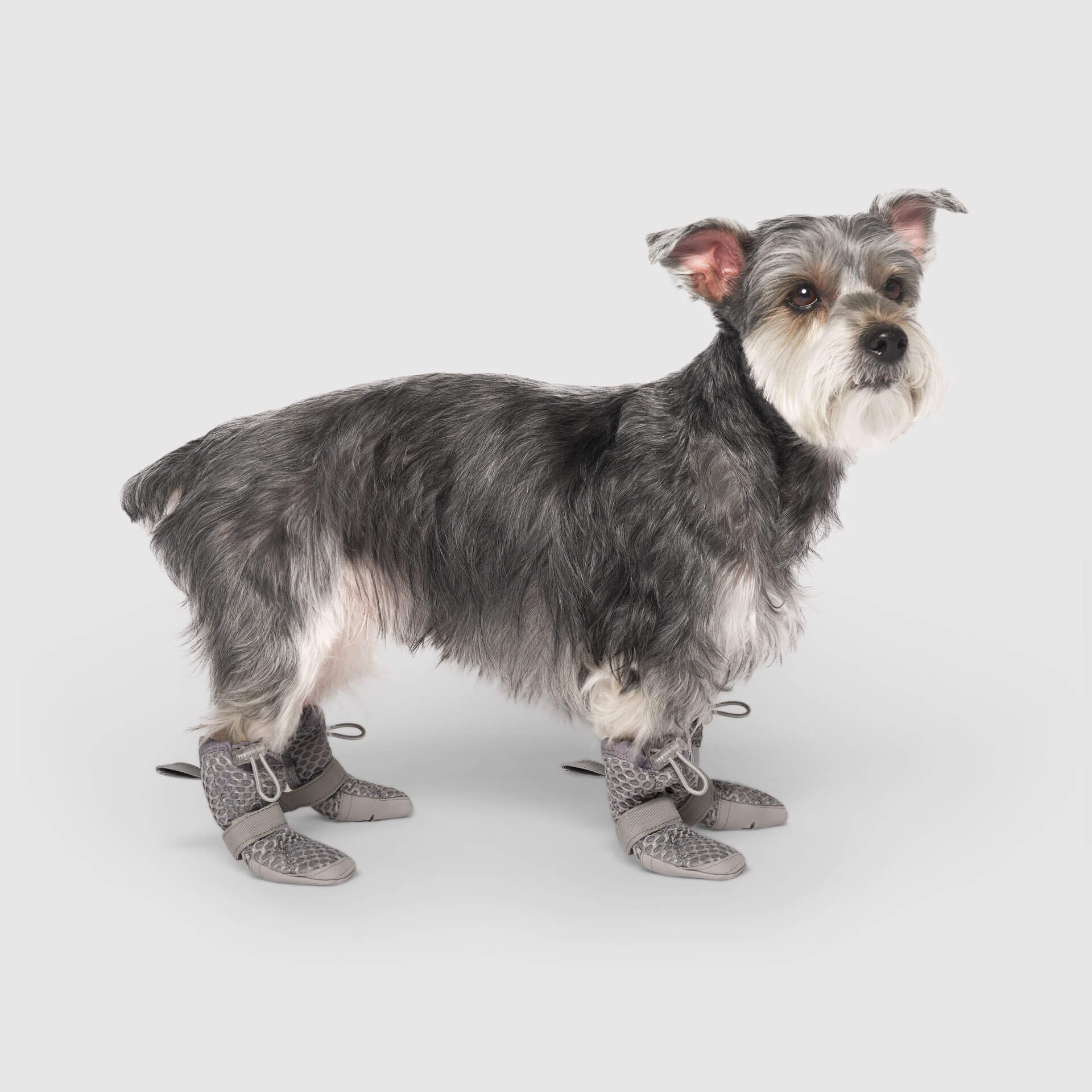 Hot Pavement Boots - Image 5