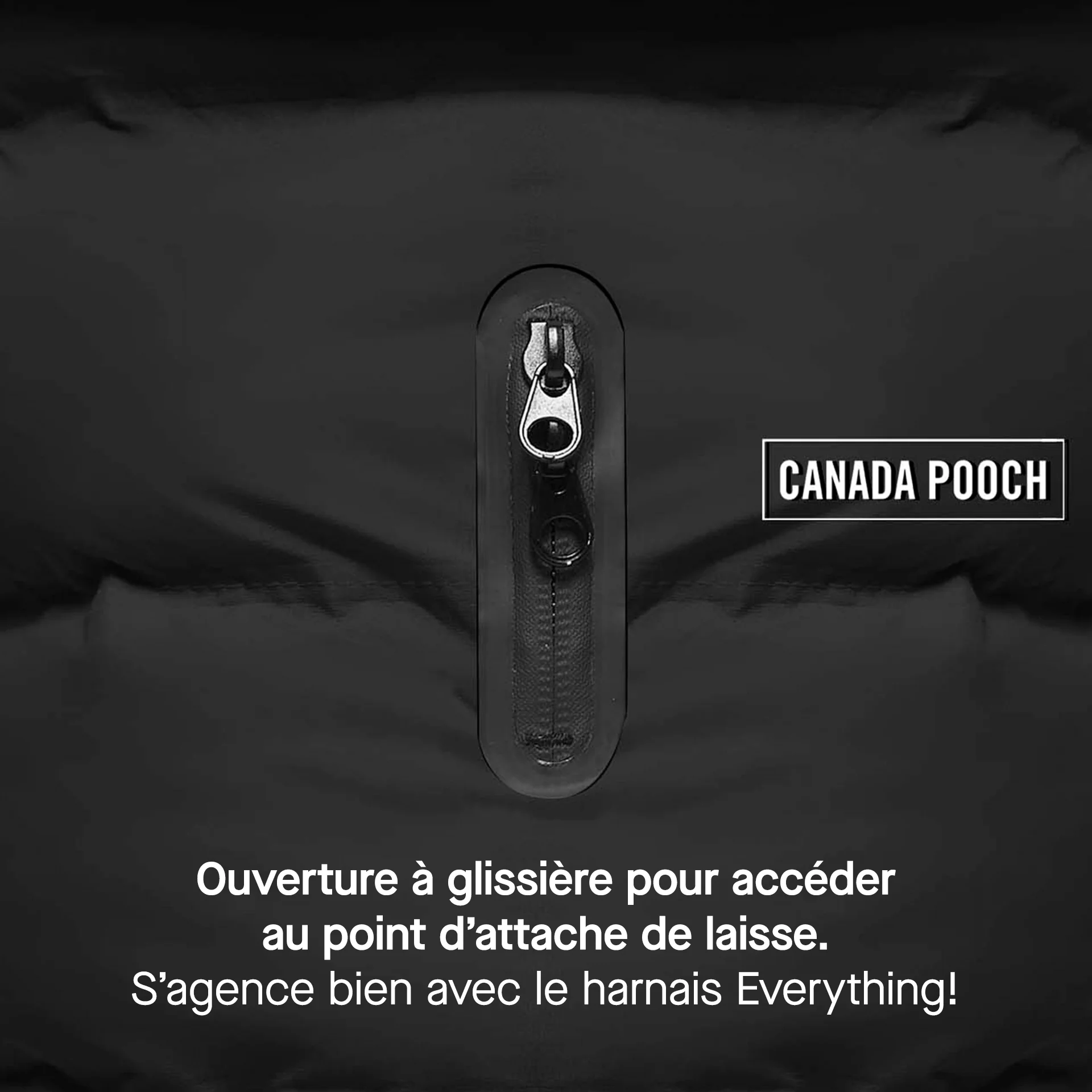 Waterproof Puffer - Image 15