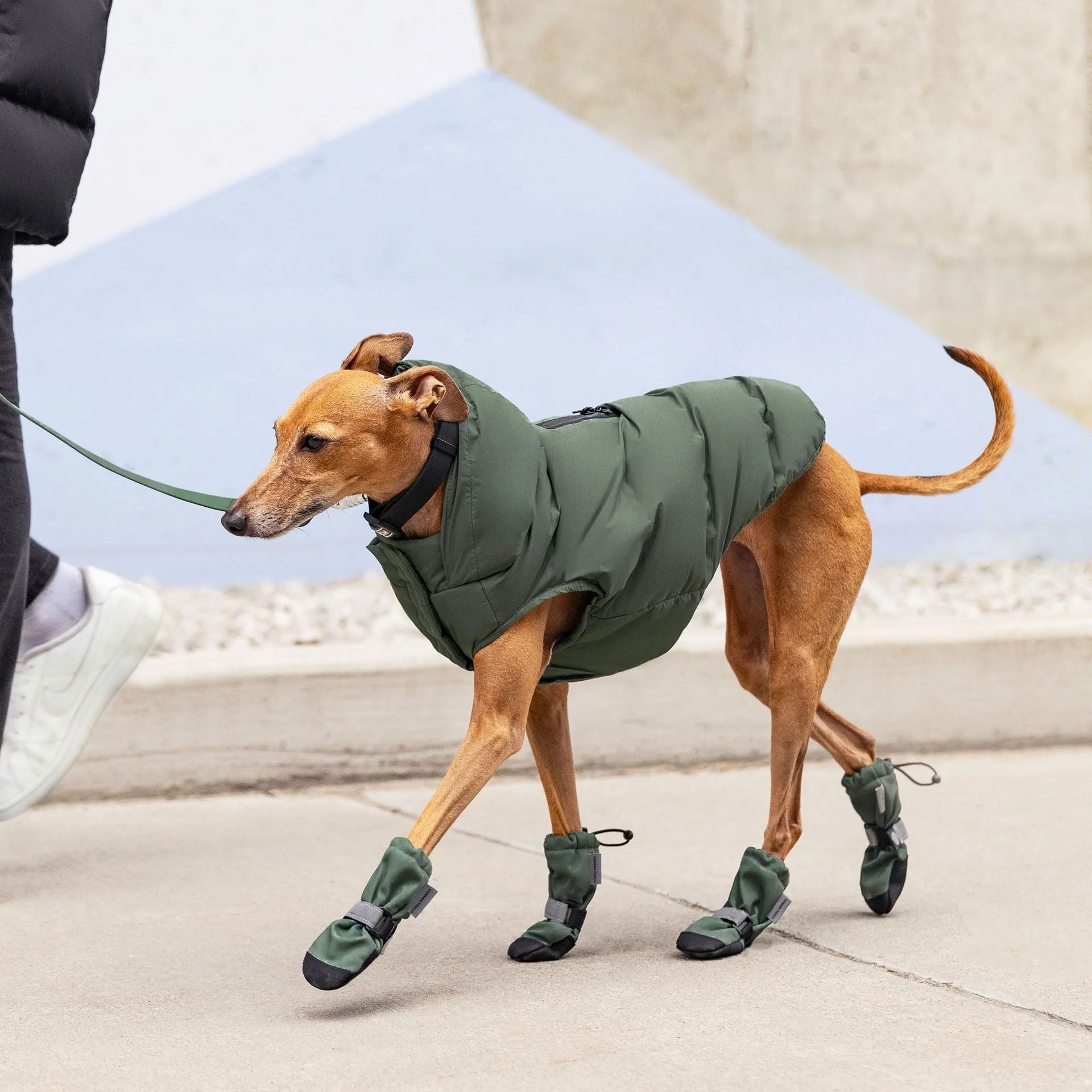 Waterproof Puffer - Image 18