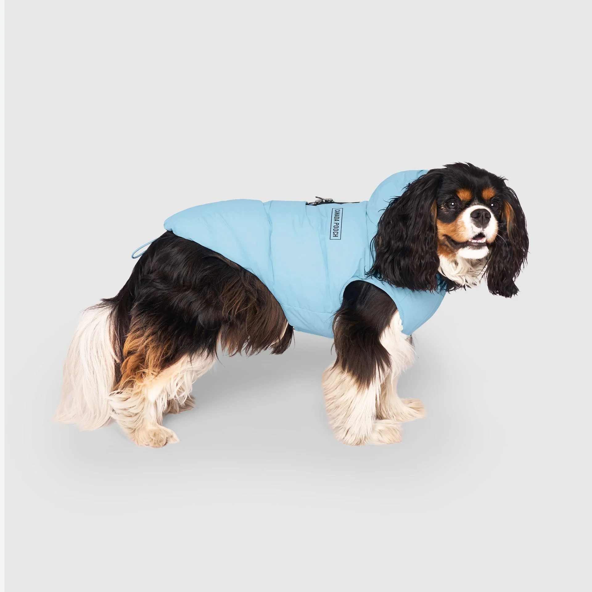 Waterproof Puffer - Image 19