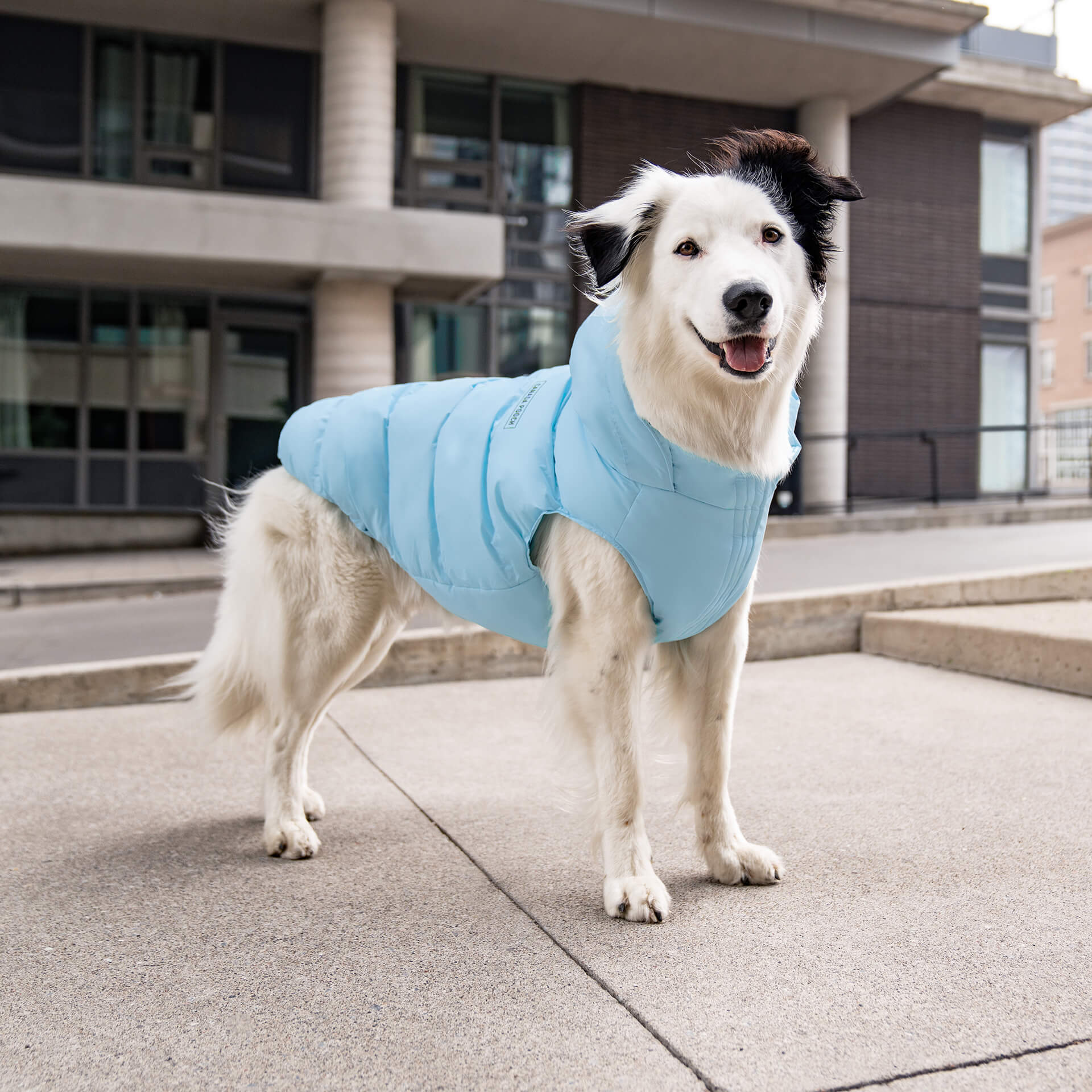 Waterproof Puffer - Image 27