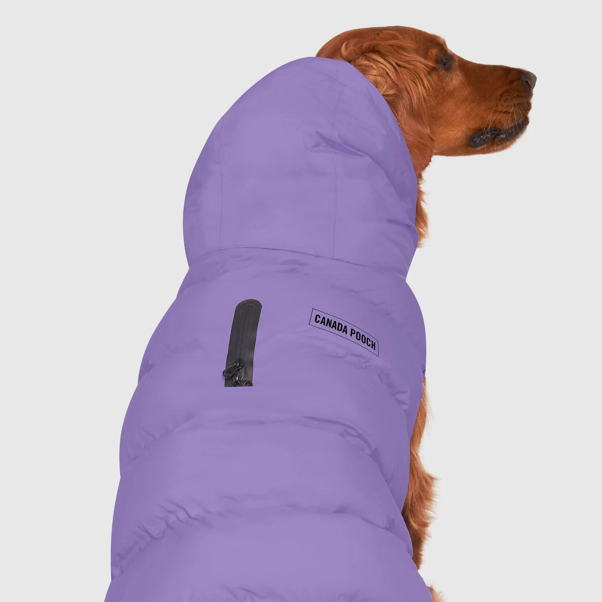 Waterproof Puffer - Image 33
