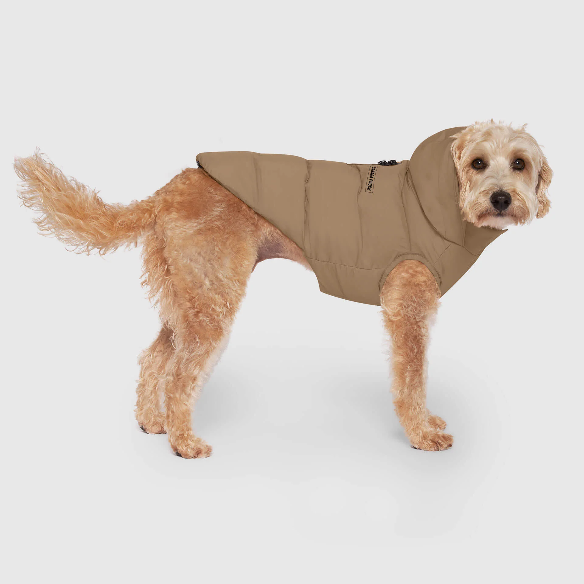 Waterproof Puffer - Image 35