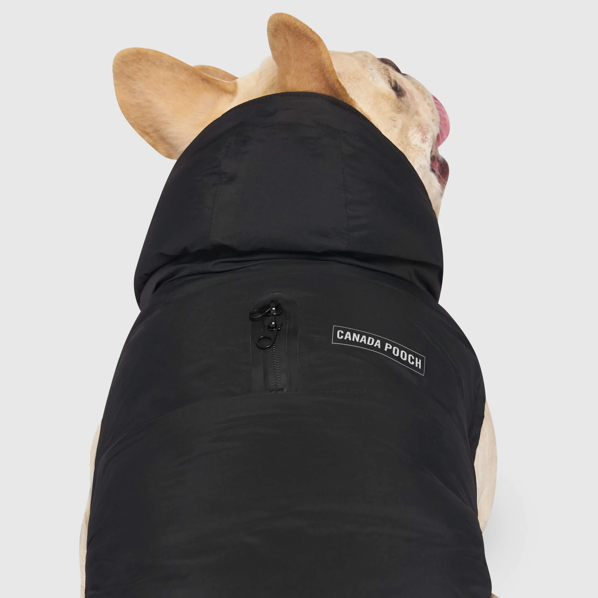 Waterproof Puffer - Image 9