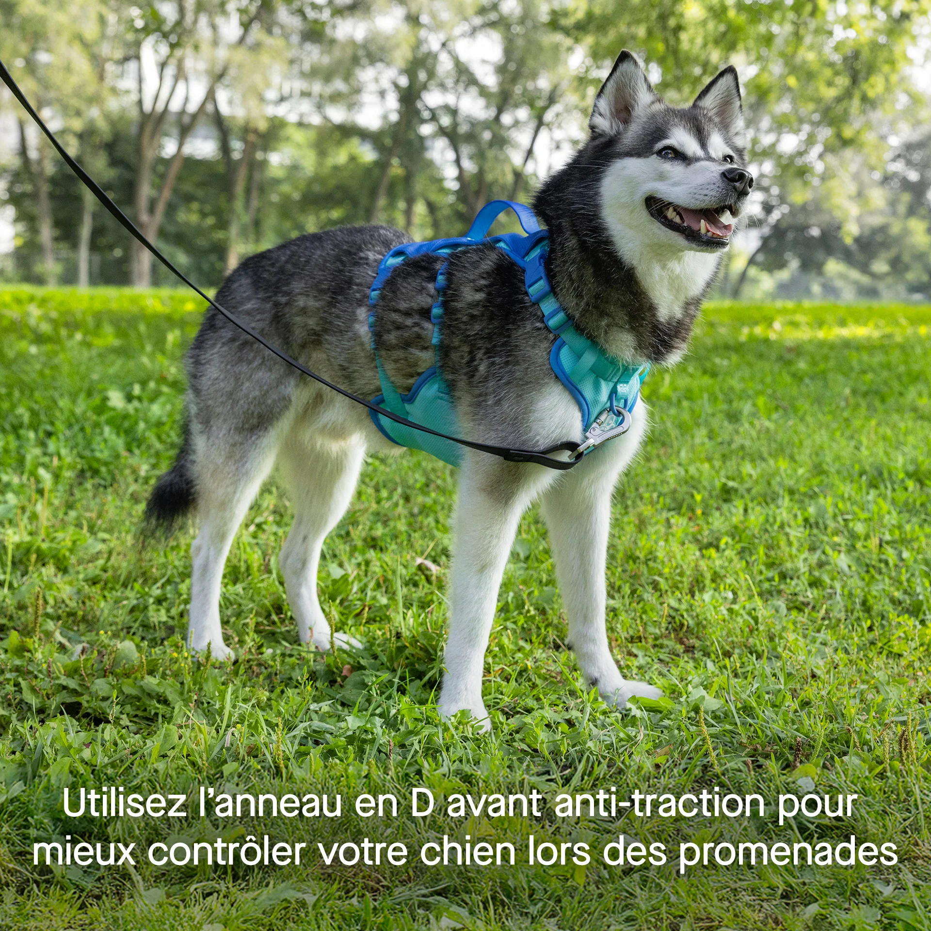 Max Chill Cooling Harness - Image 11