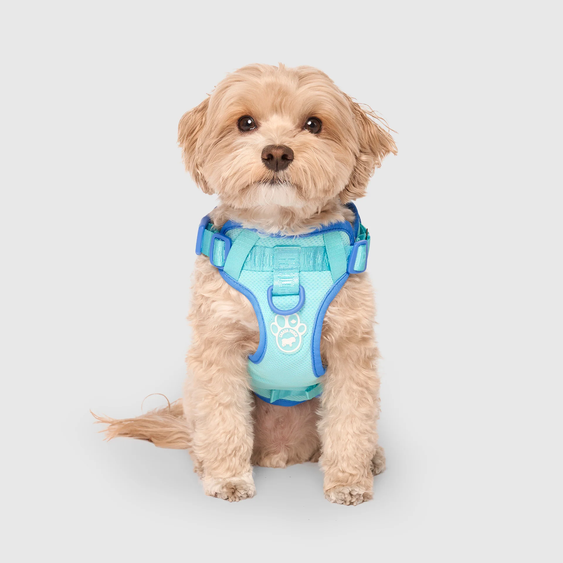 Max Chill Cooling Harness - Image 12