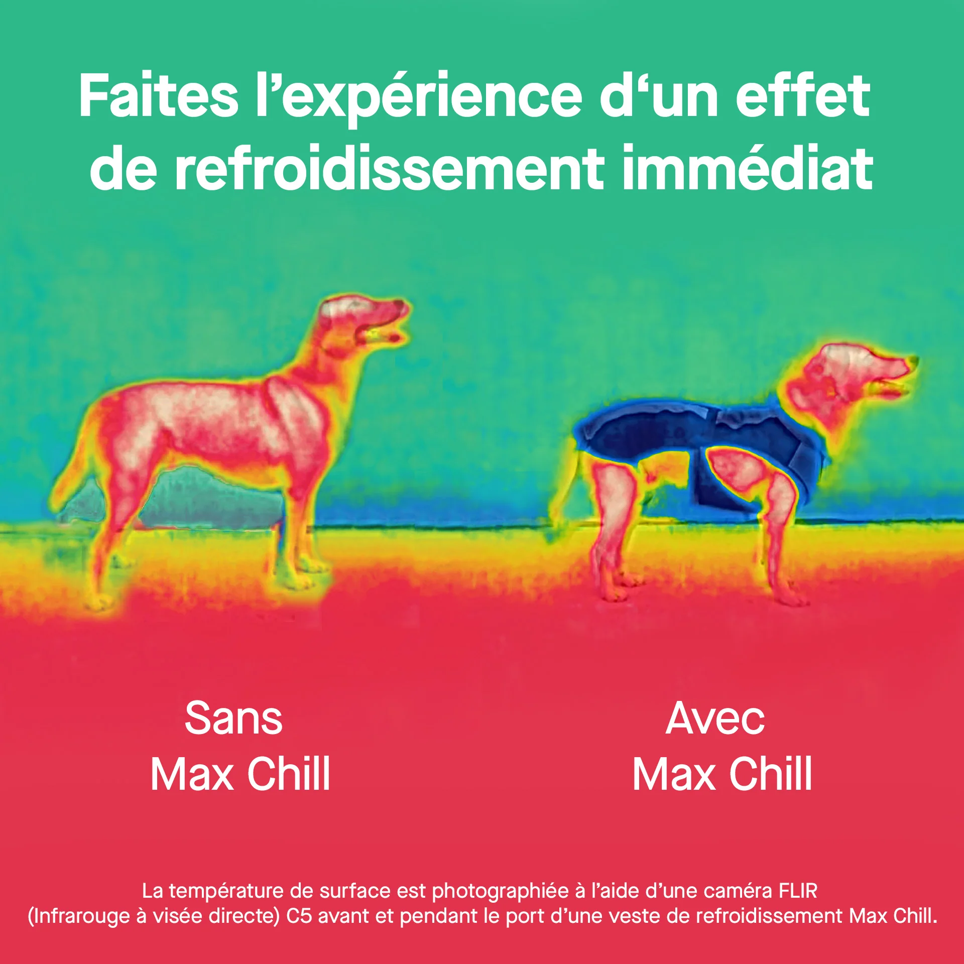 Max Chill Cooling Harness - Image 5