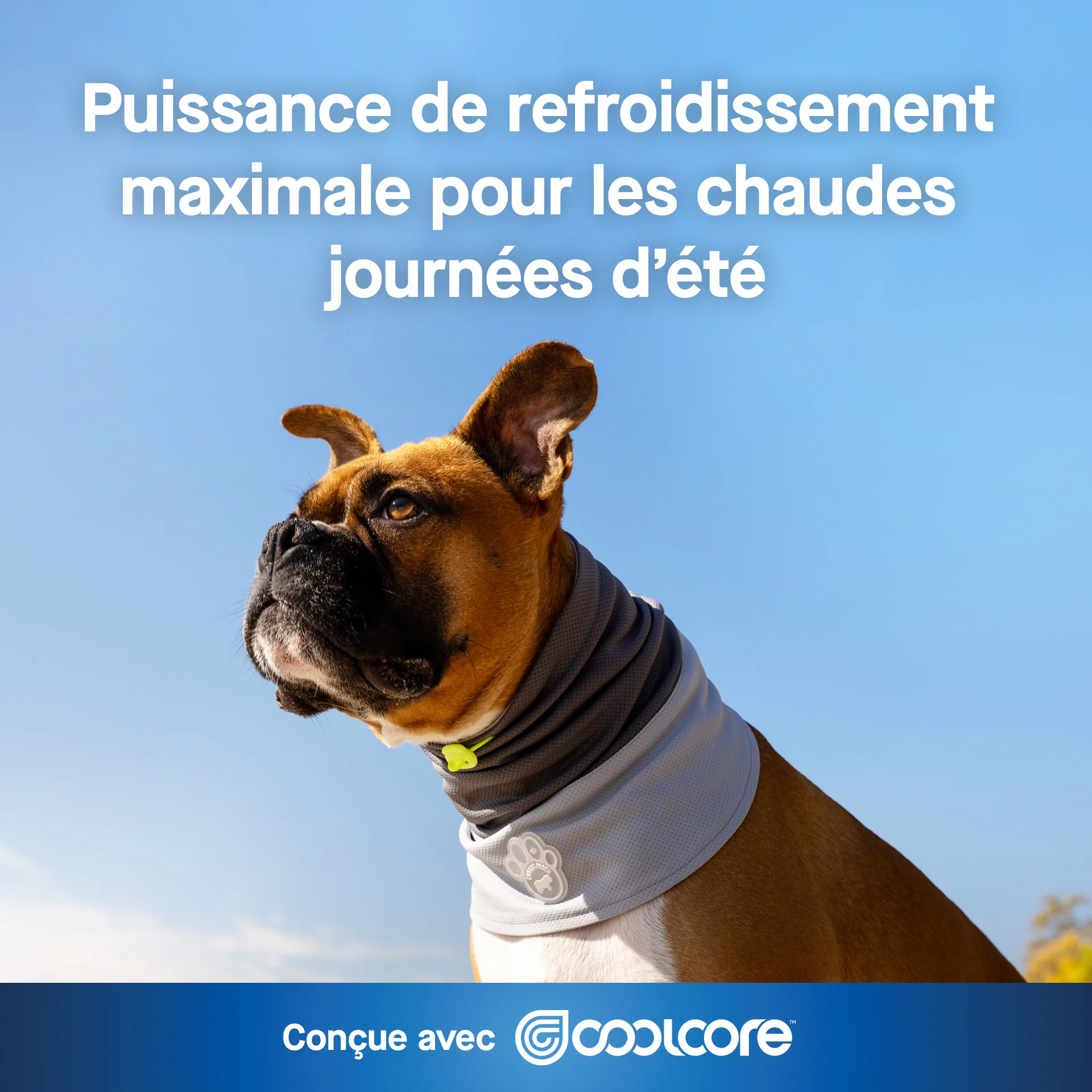 Max Chill Cooling Snood - Image 14
