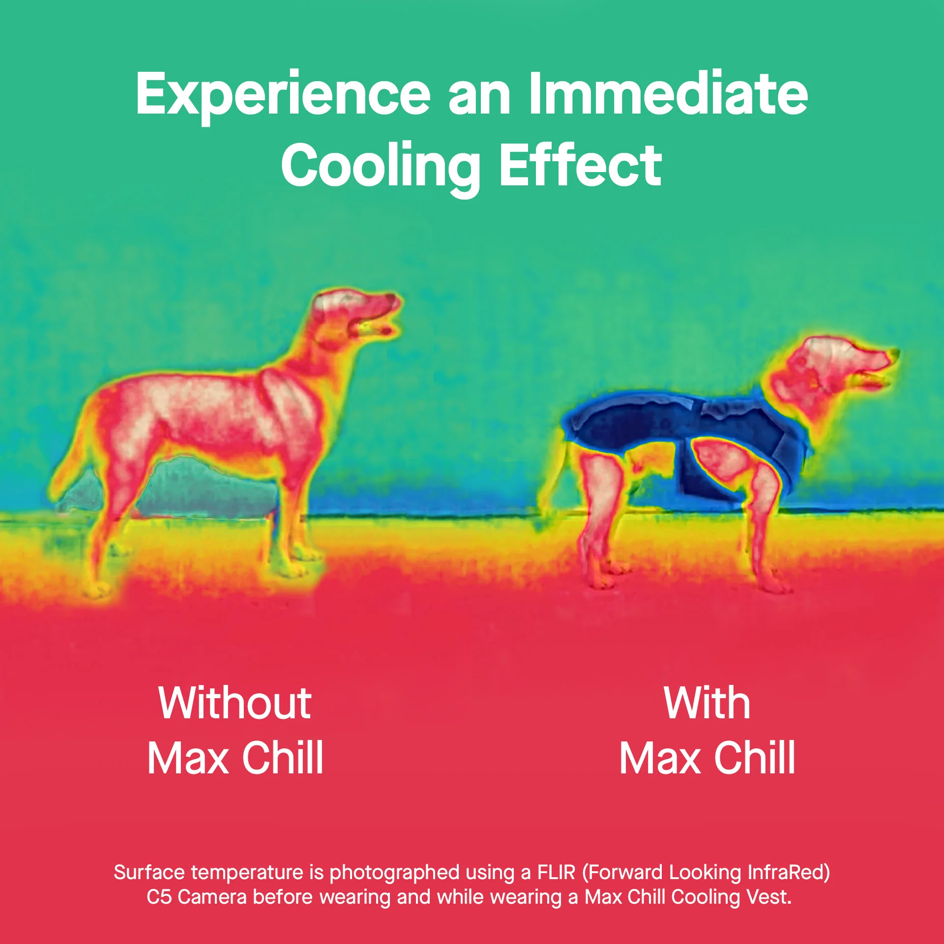 Max Chill Cooling Snood - Image 26