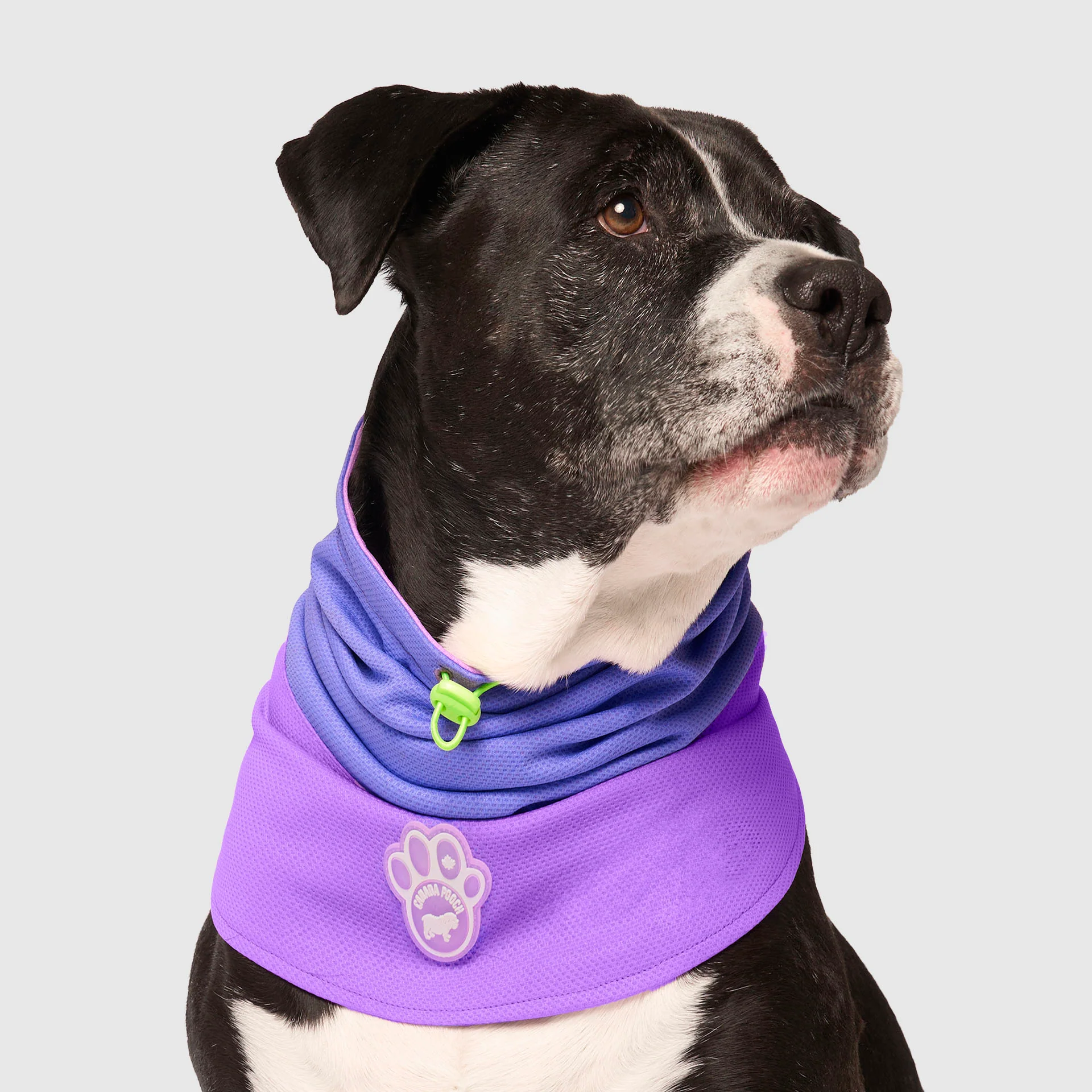 Max Chill Cooling Snood - Image 32
