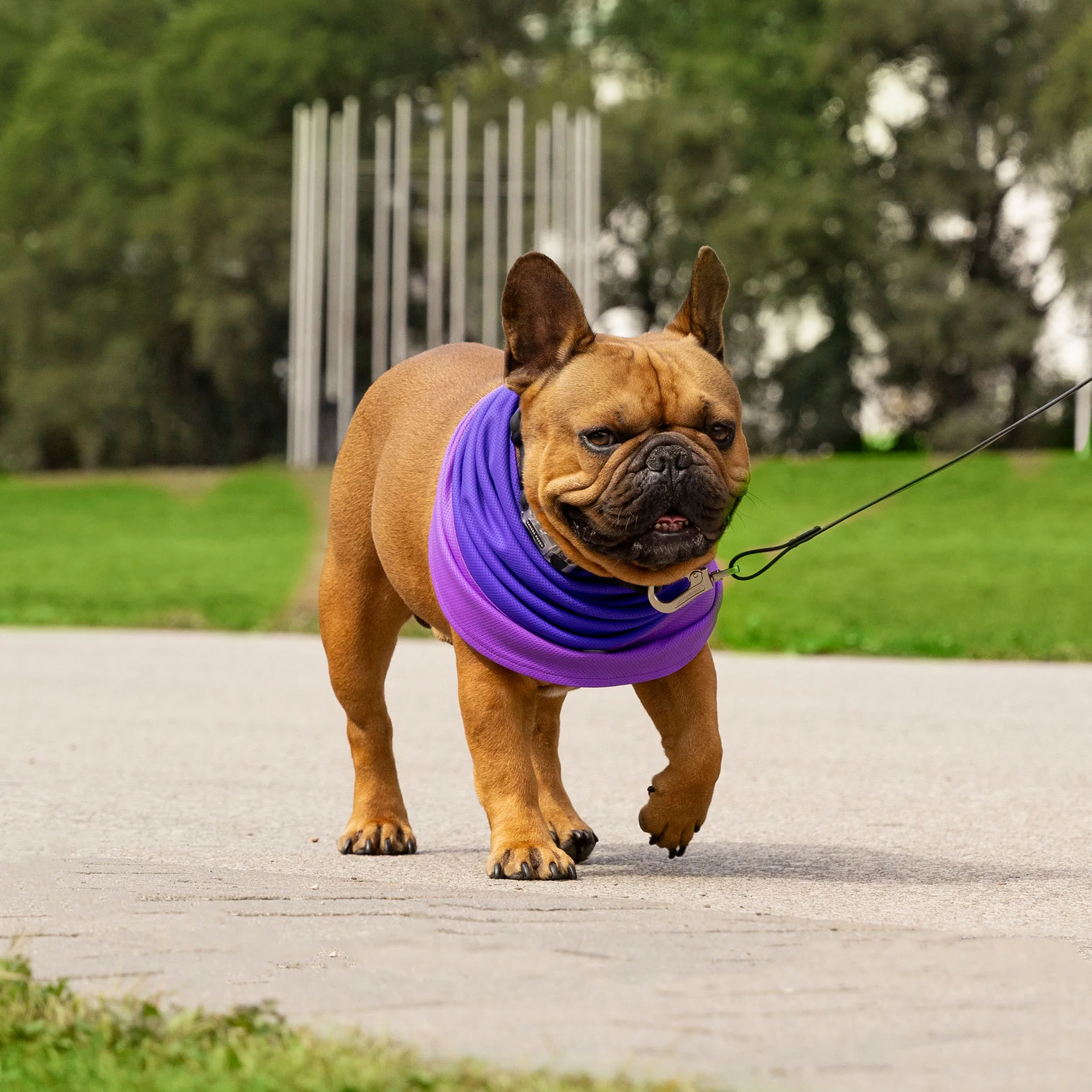 Max Chill Cooling Snood - Image 33