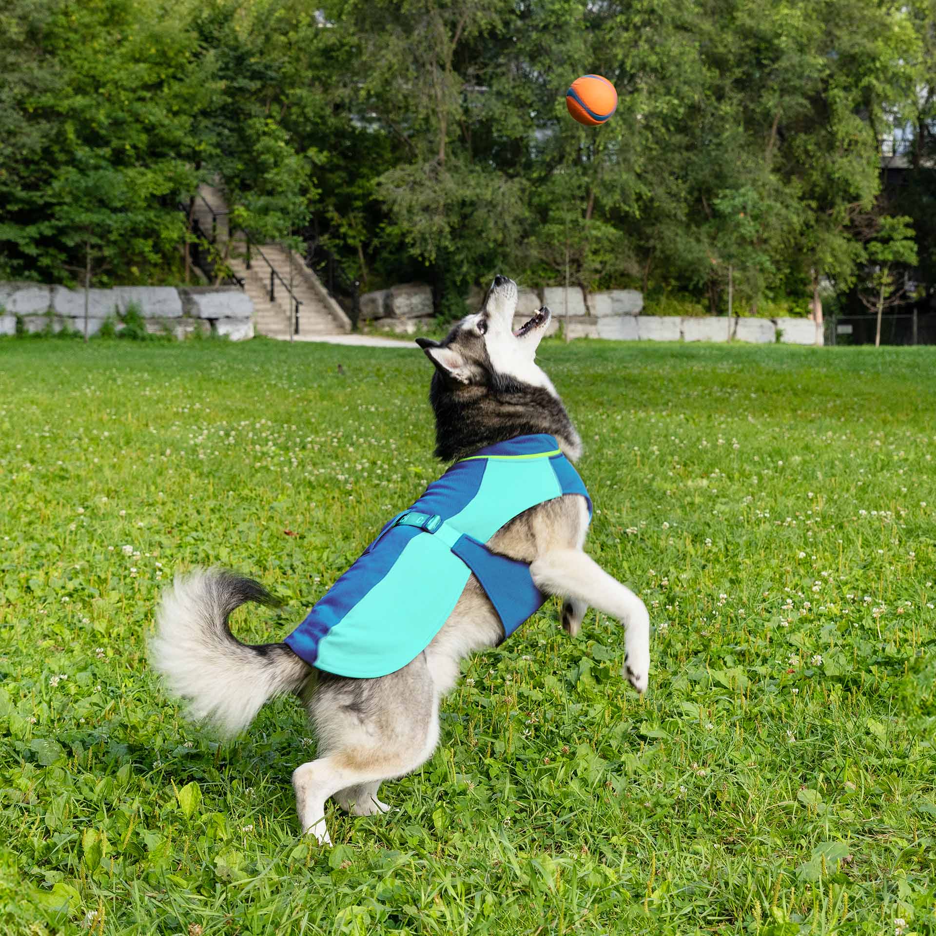 Max Chill Cooling Vest - Image 12