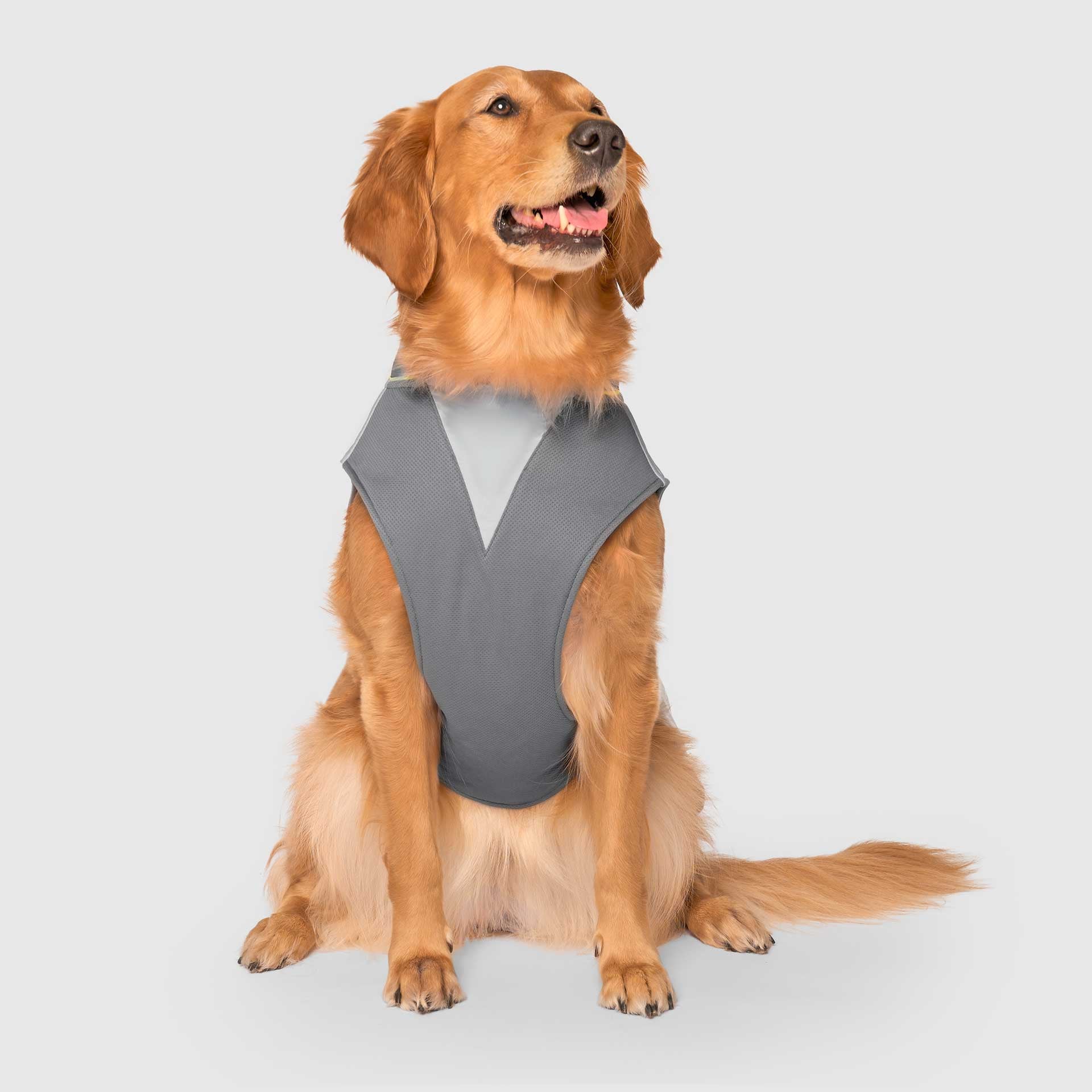 Max Chill Cooling Vest - Image 22
