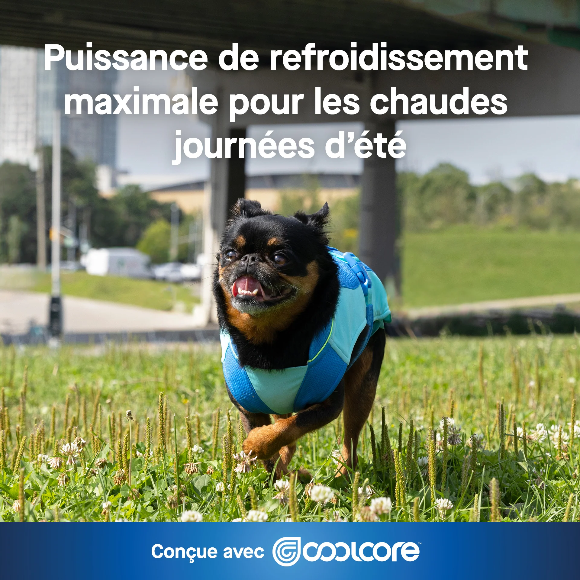 Max Chill Cooling Vest - Image 3
