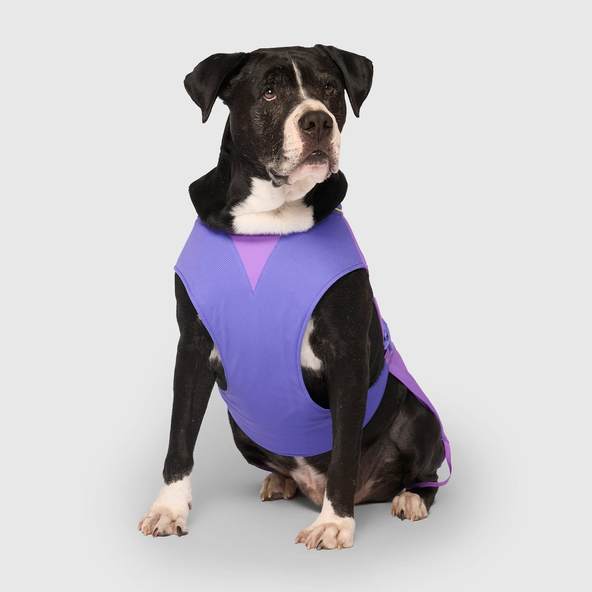 Max Chill Cooling Vest - Image 34